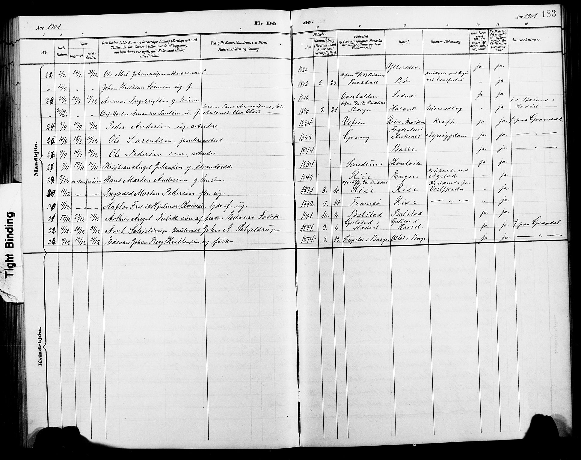 Ministerialprotokoller, klokkerbøker og fødselsregistre - Nordland, AV/SAT-A-1459/881/L1168: Parish register (copy) no. 881C05, 1900-1911, p. 183