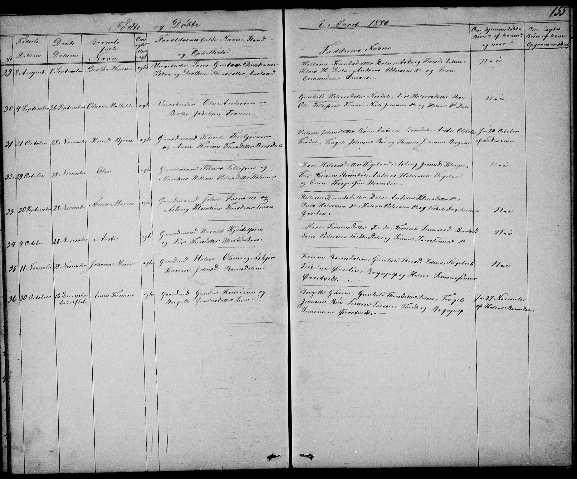 Drangedal kirkebøker, SAKO/A-258/G/Gb/L0001: Parish register (copy) no. II 1, 1856-1894, p. 155