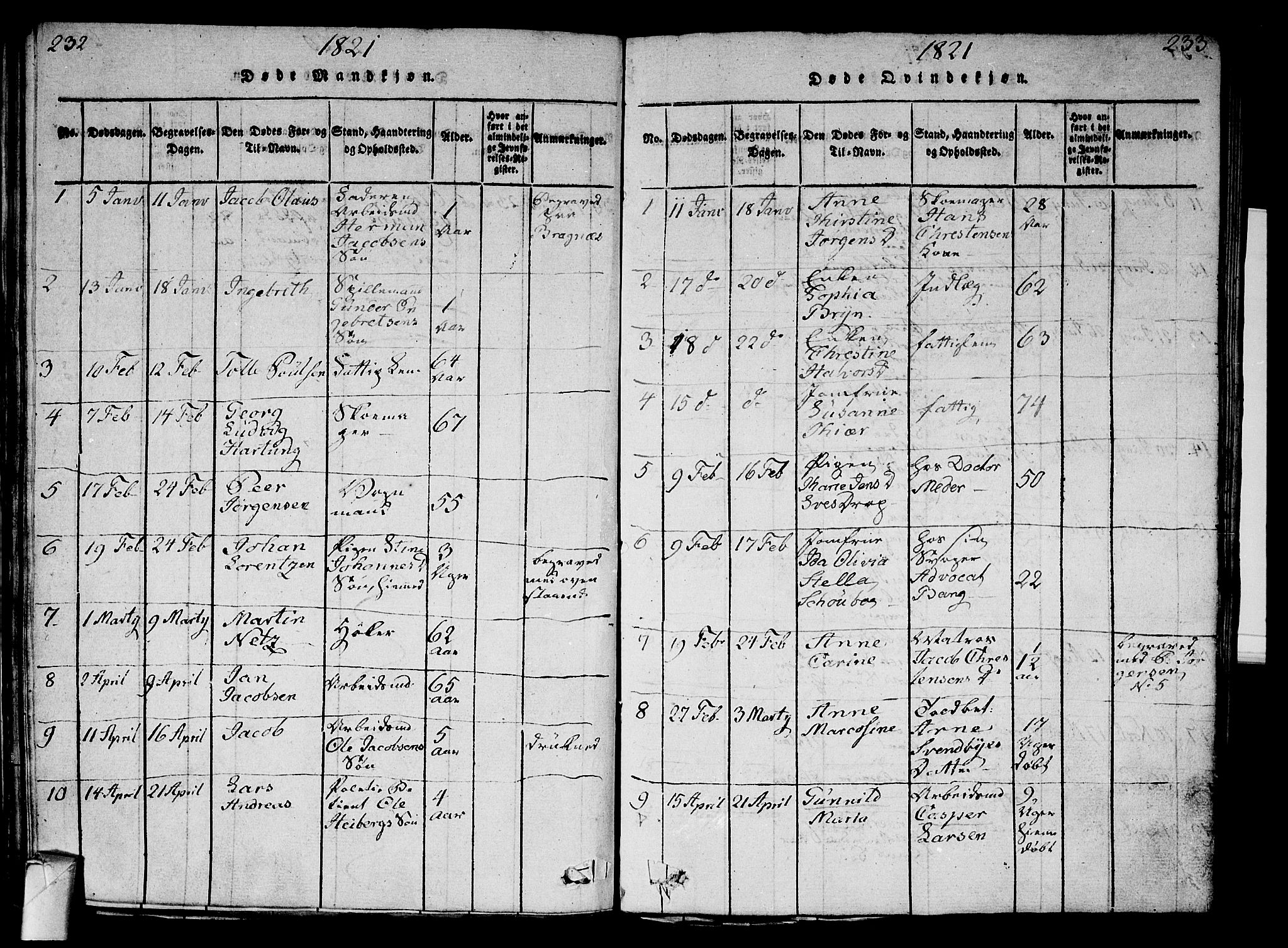 Strømsø kirkebøker, AV/SAKO-A-246/G/Ga/L0001: Parish register (copy) no. 1, 1815-1829, p. 232-233