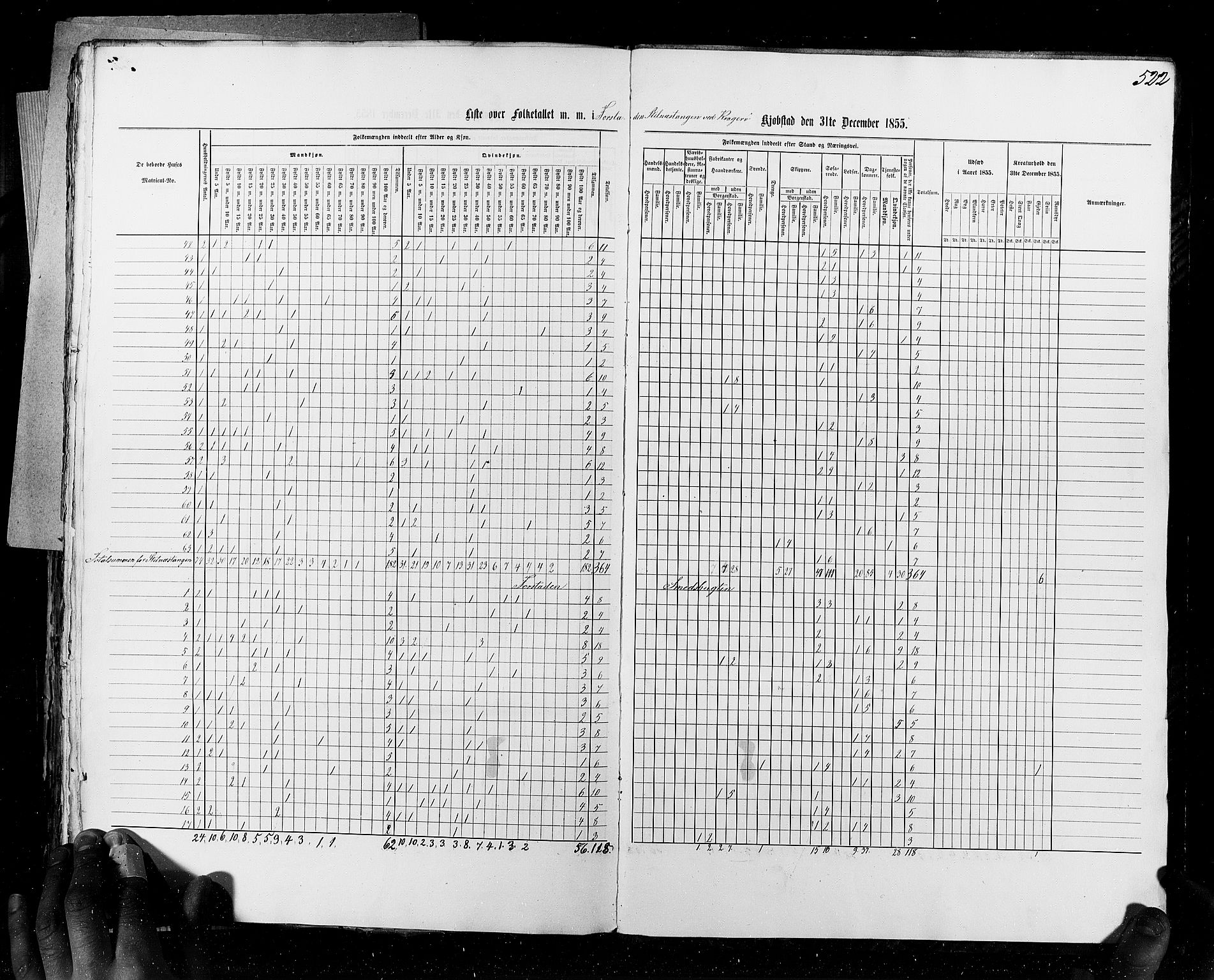 RA, Census 1855, vol. 7: Fredrikshald-Kragerø, 1855, p. 522