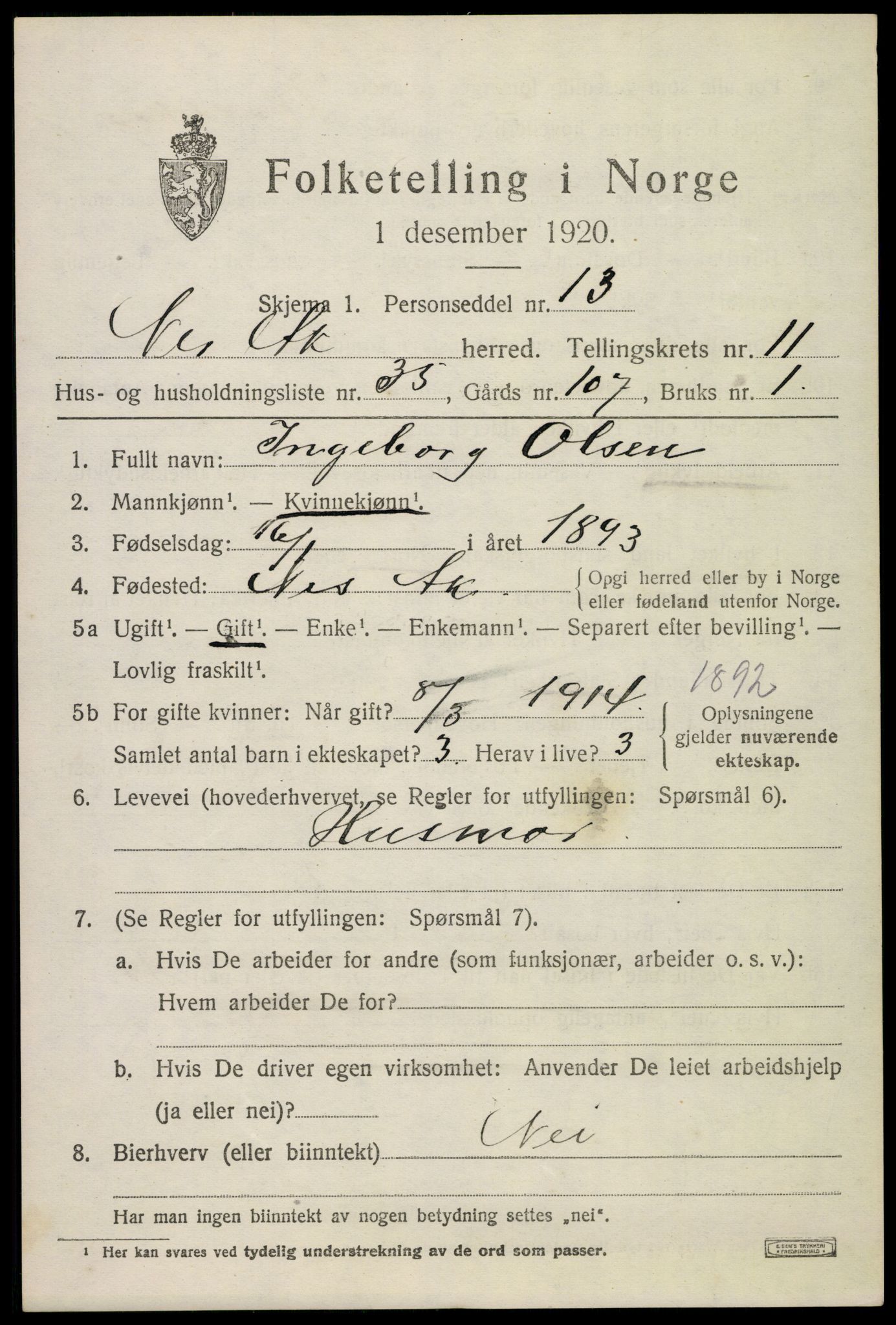 SAO, 1920 census for Nes, 1920, p. 11844