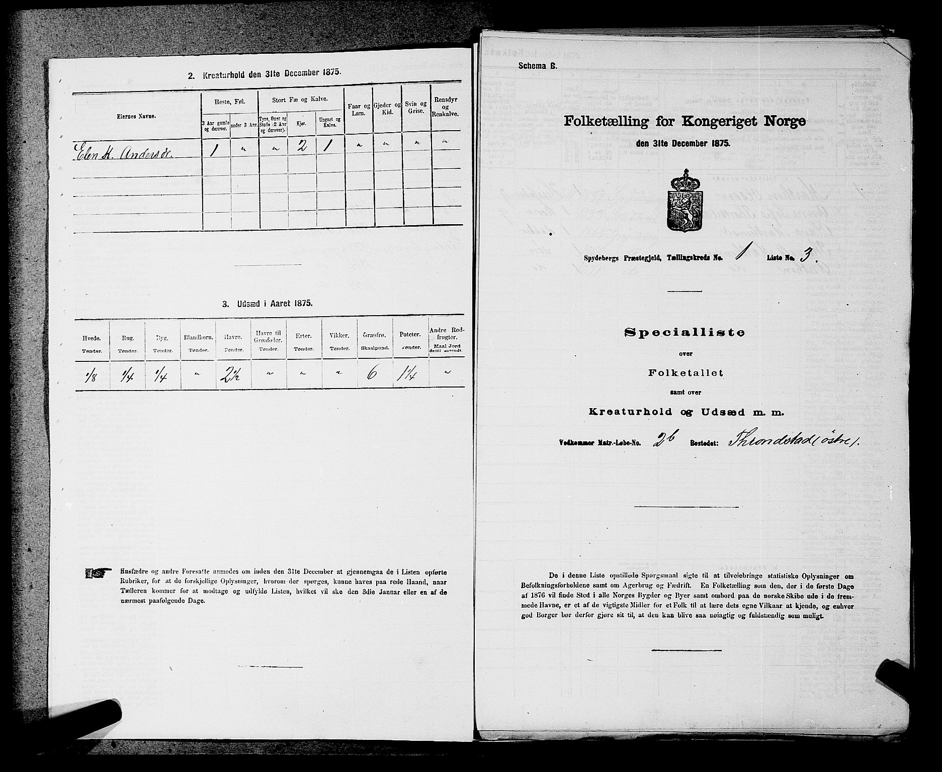 RA, 1875 census for 0123P Spydeberg, 1875, p. 29