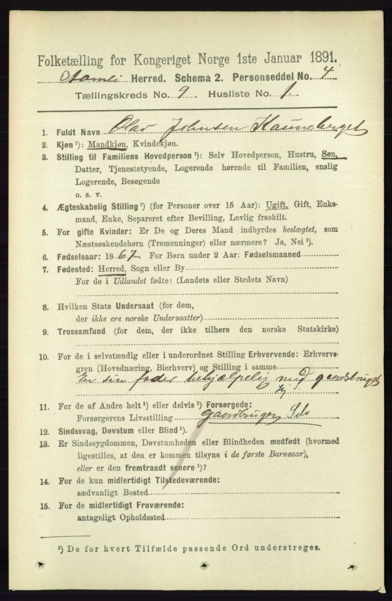 RA, 1891 census for 0929 Åmli, 1891, p. 1459