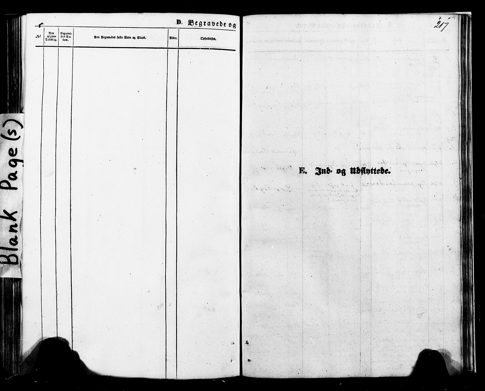 Ministerialprotokoller, klokkerbøker og fødselsregistre - Nordland, SAT/A-1459/898/L1421: Parish register (official) no. 898A01, 1866-1886, p. 217