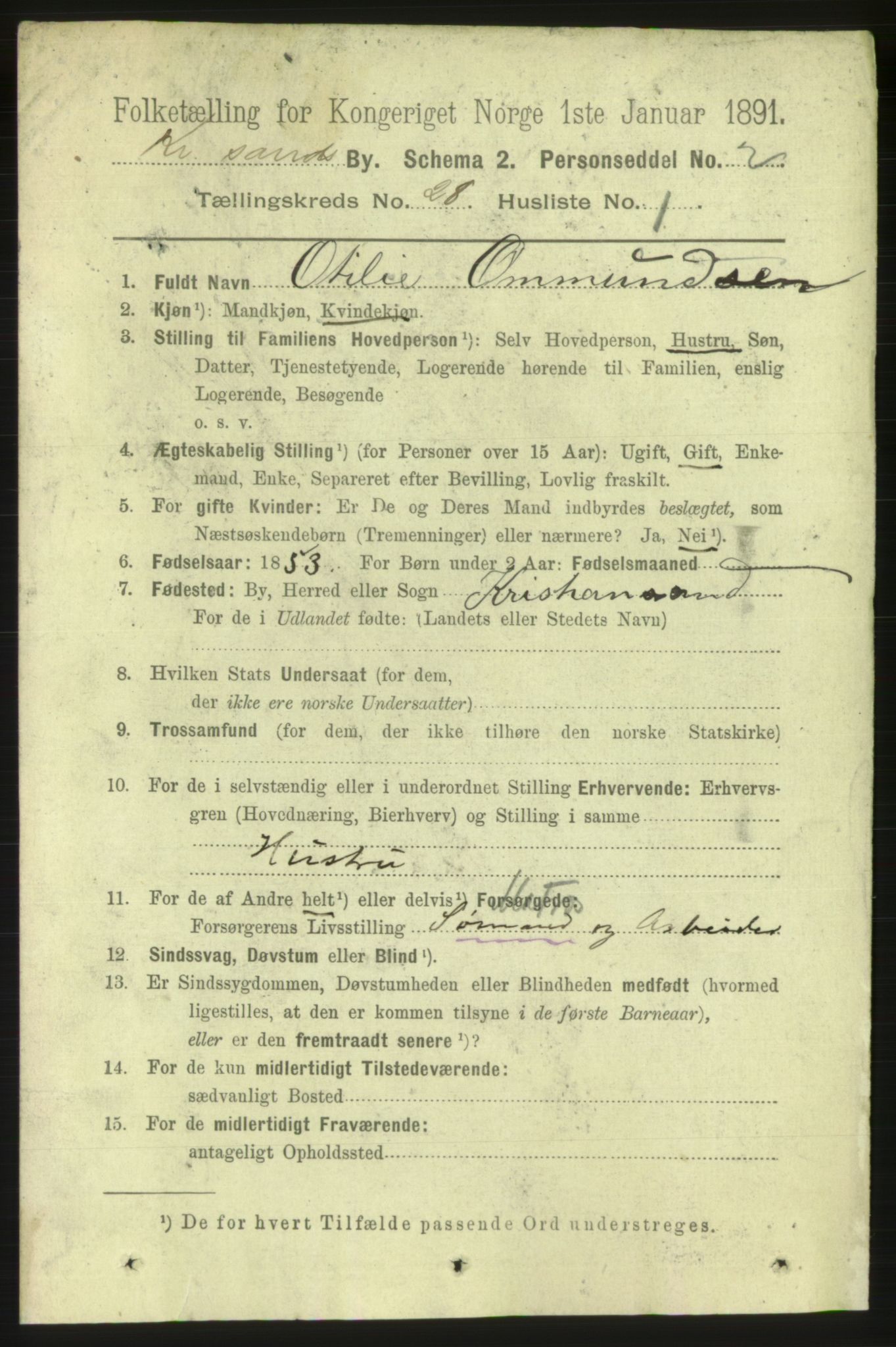 RA, 1891 census for 1001 Kristiansand, 1891, p. 9493