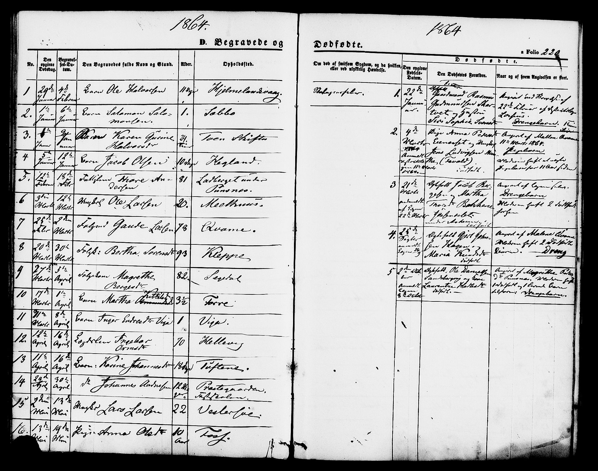 Hjelmeland sokneprestkontor, SAST/A-101843/01/IV/L0011: Parish register (official) no. A 11, 1861-1878, p. 220