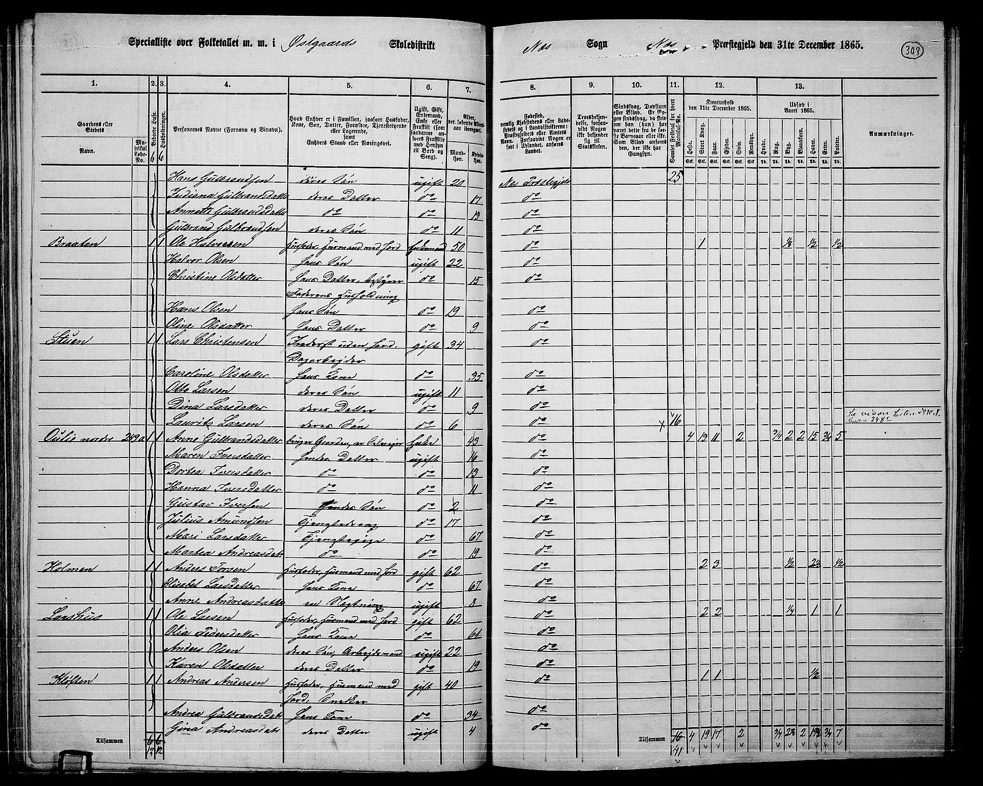 RA, 1865 census for Nes, 1865, p. 278