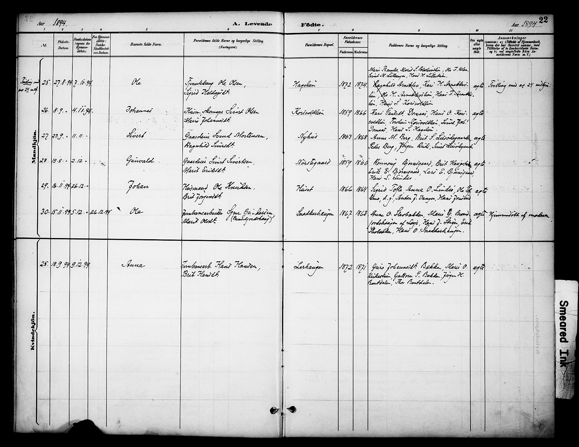 Dovre prestekontor, AV/SAH-PREST-066/H/Ha/Haa/L0003: Parish register (official) no. 3, 1891-1901, p. 22