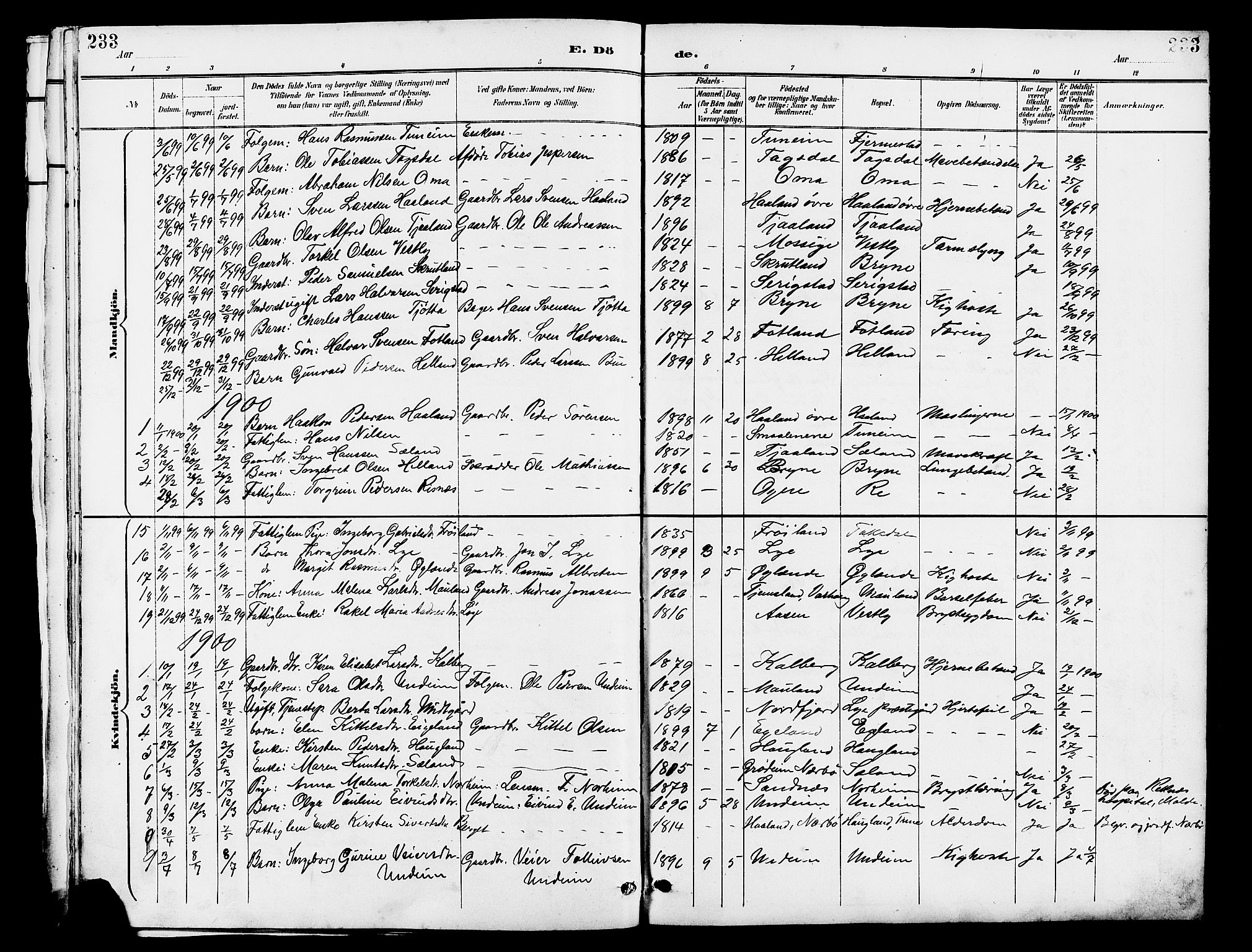 Lye sokneprestkontor, SAST/A-101794/001/30BB/L0007: Parish register (copy) no. B 8, 1889-1909, p. 233