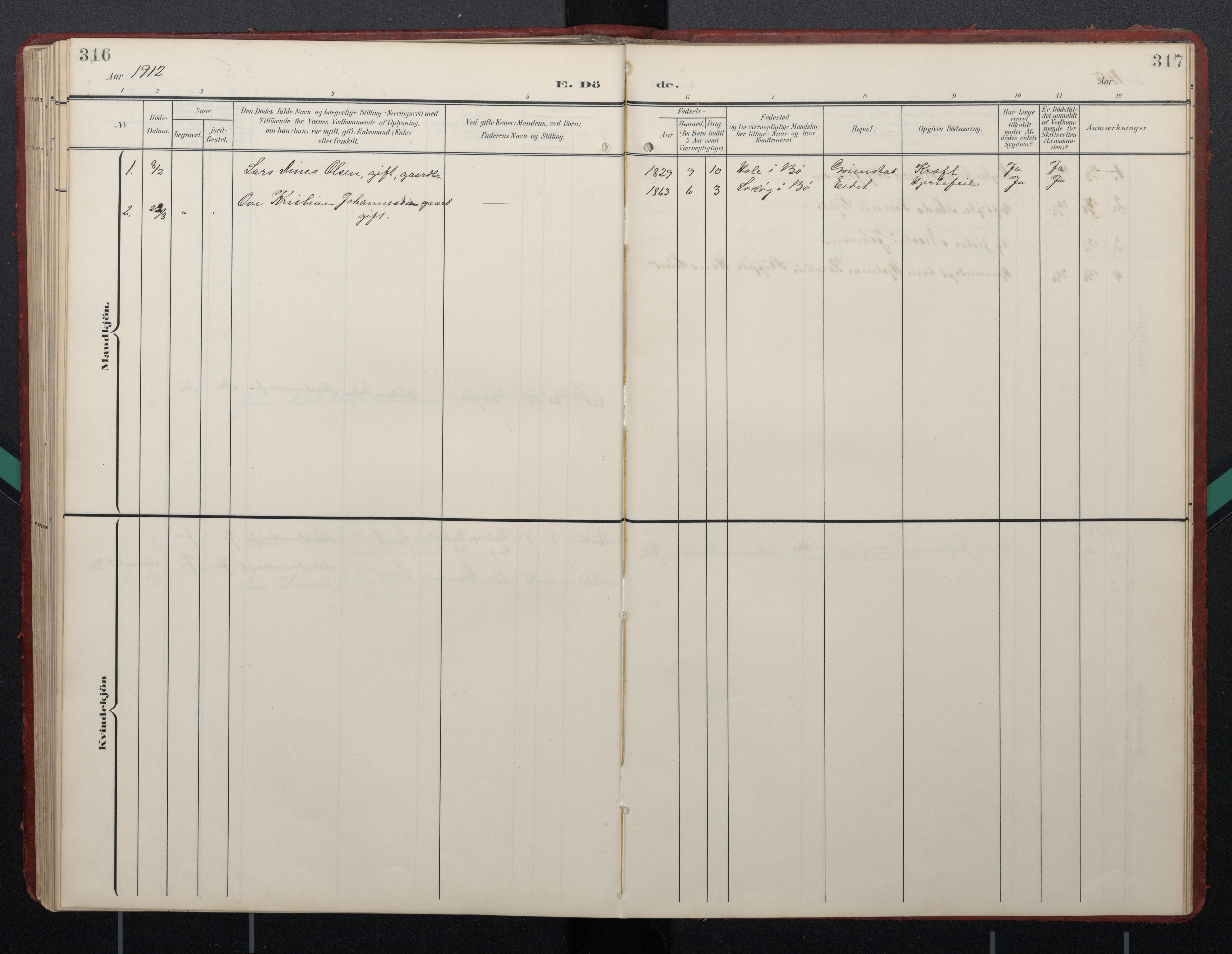 Ministerialprotokoller, klokkerbøker og fødselsregistre - Nordland, SAT/A-1459/892/L1322: Parish register (official) no. 892A03, 1904-1921, p. 316-317