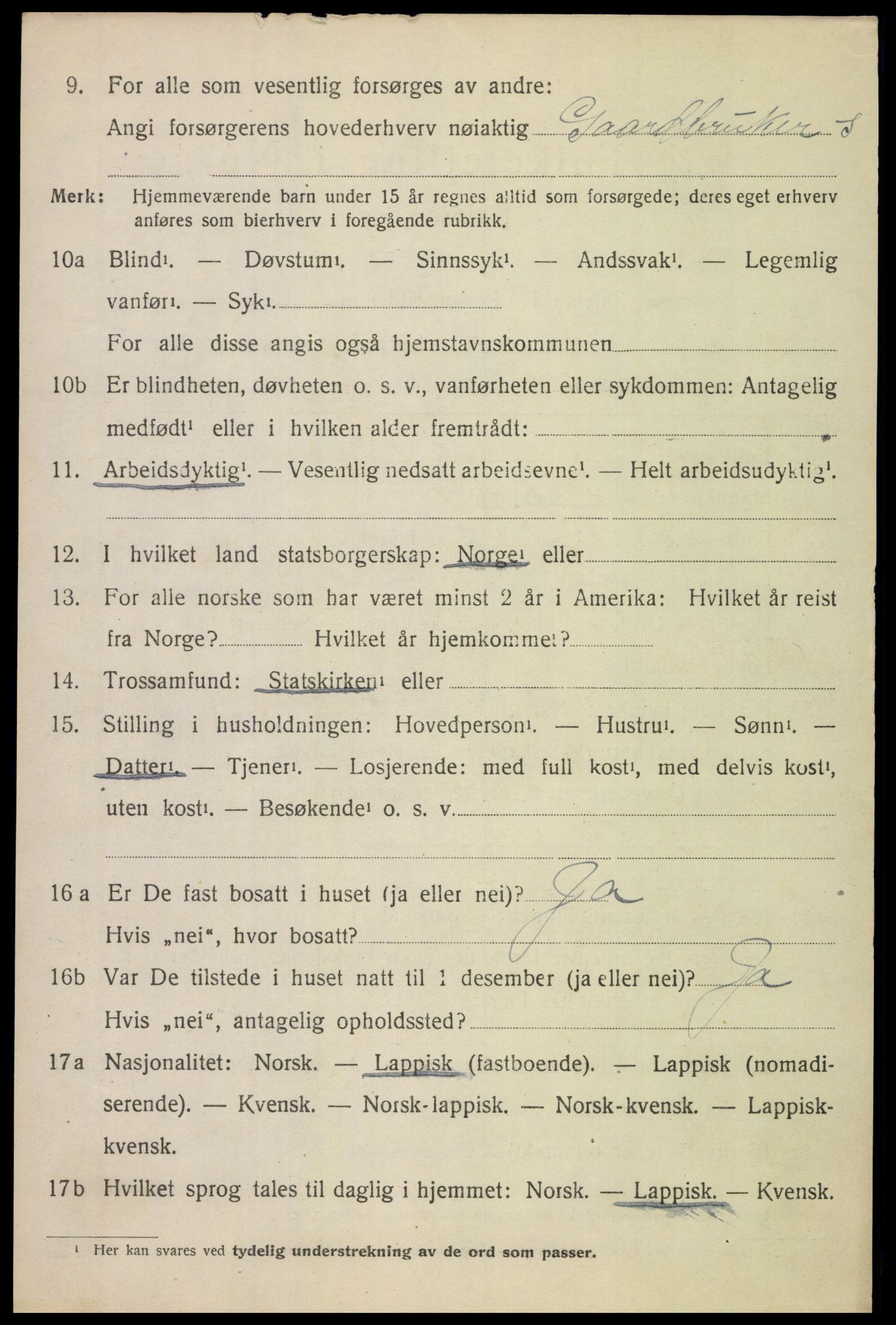 SAT, 1920 census for Tysfjord, 1920, p. 1482