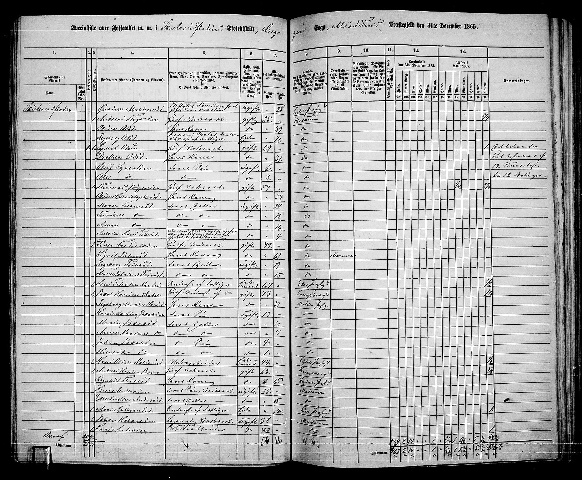 RA, 1865 census for Modum, 1865, p. 220