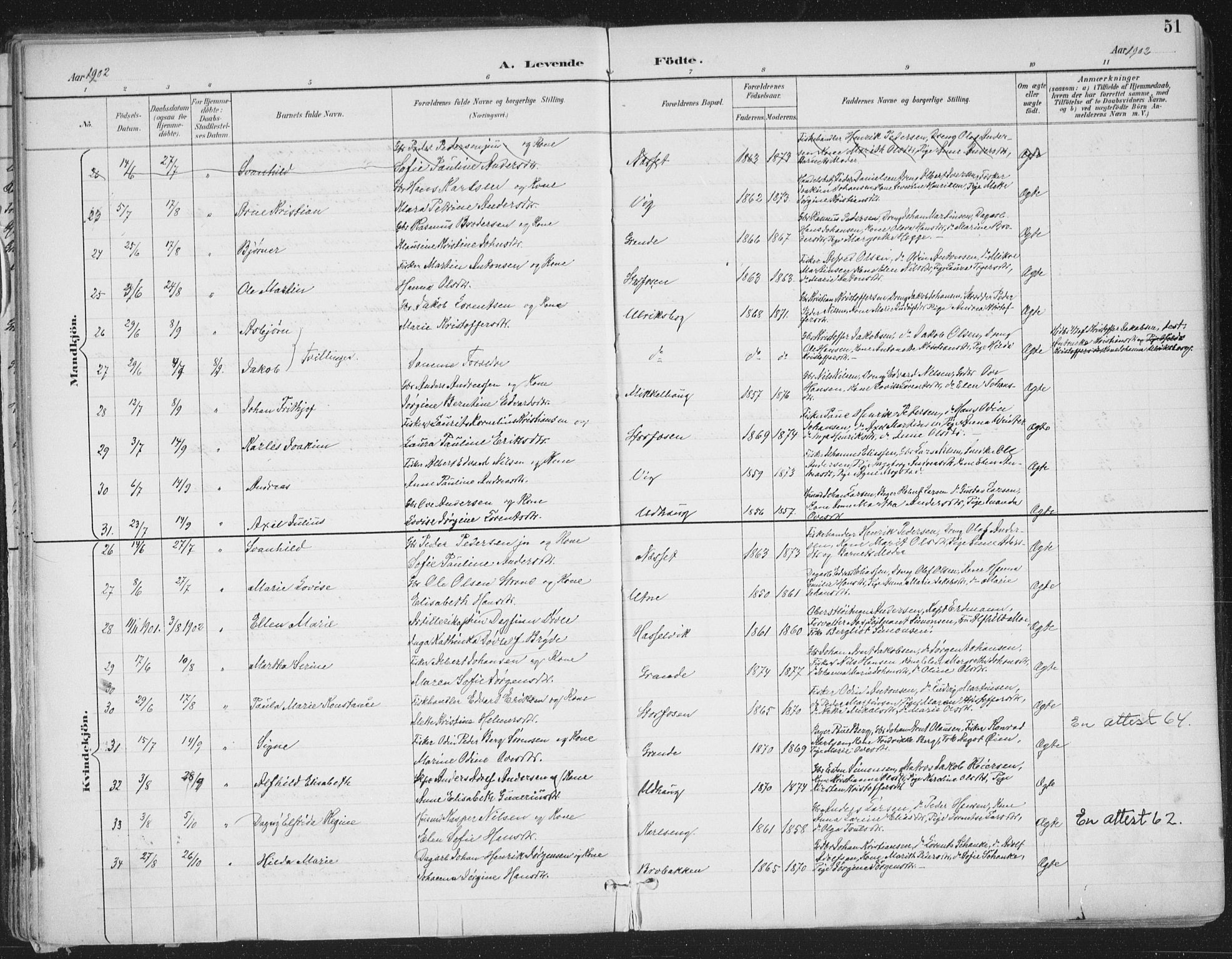 Ministerialprotokoller, klokkerbøker og fødselsregistre - Sør-Trøndelag, SAT/A-1456/659/L0743: Parish register (official) no. 659A13, 1893-1910, p. 51
