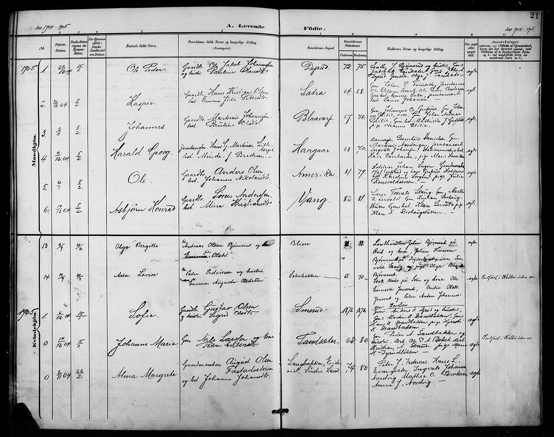 Vestre Toten prestekontor, SAH/PREST-108/H/Ha/Hab/L0016: Parish register (copy) no. 16, 1901-1915, p. 21