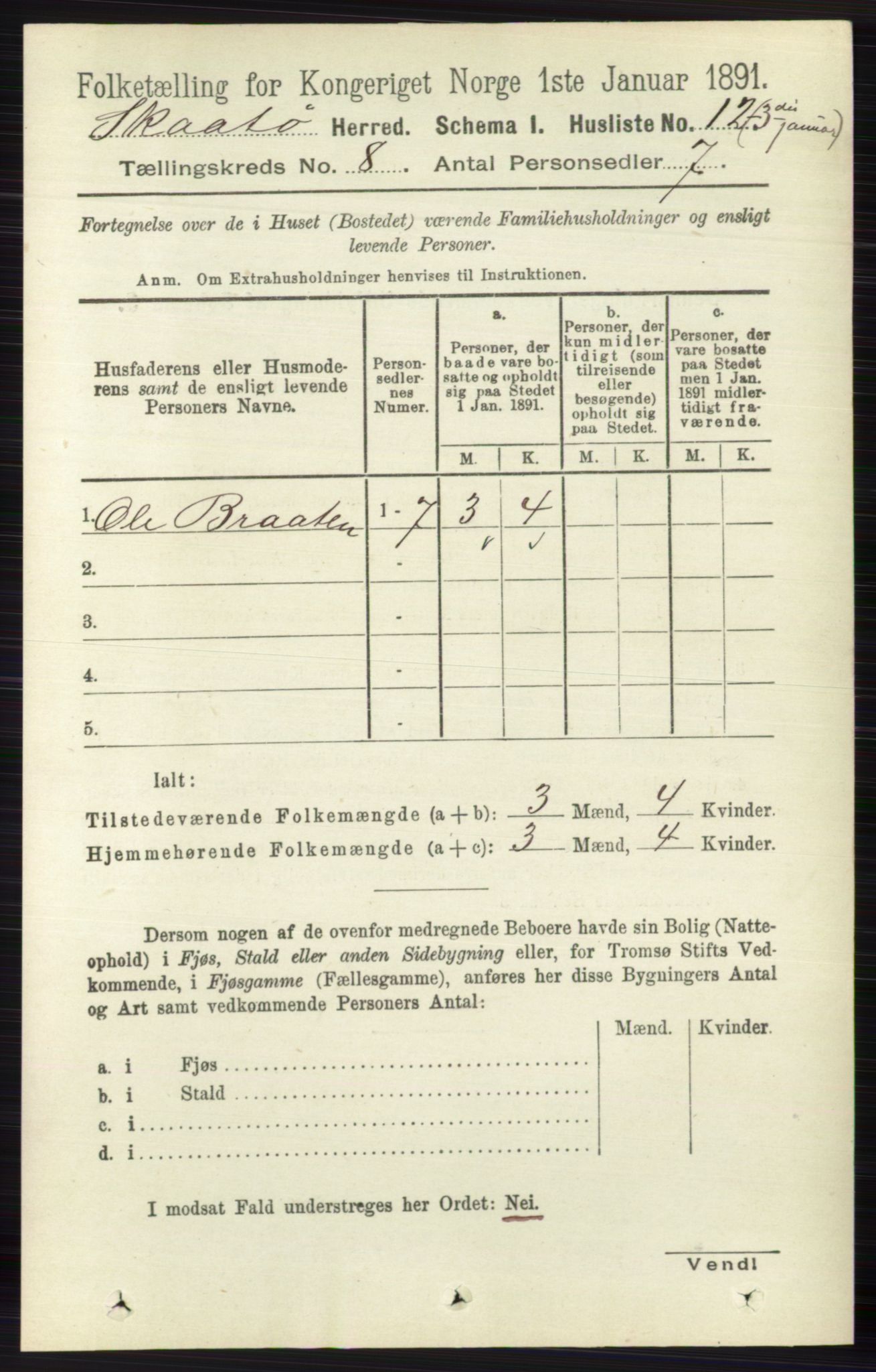 RA, 1891 census for 0815 Skåtøy, 1891, p. 3483