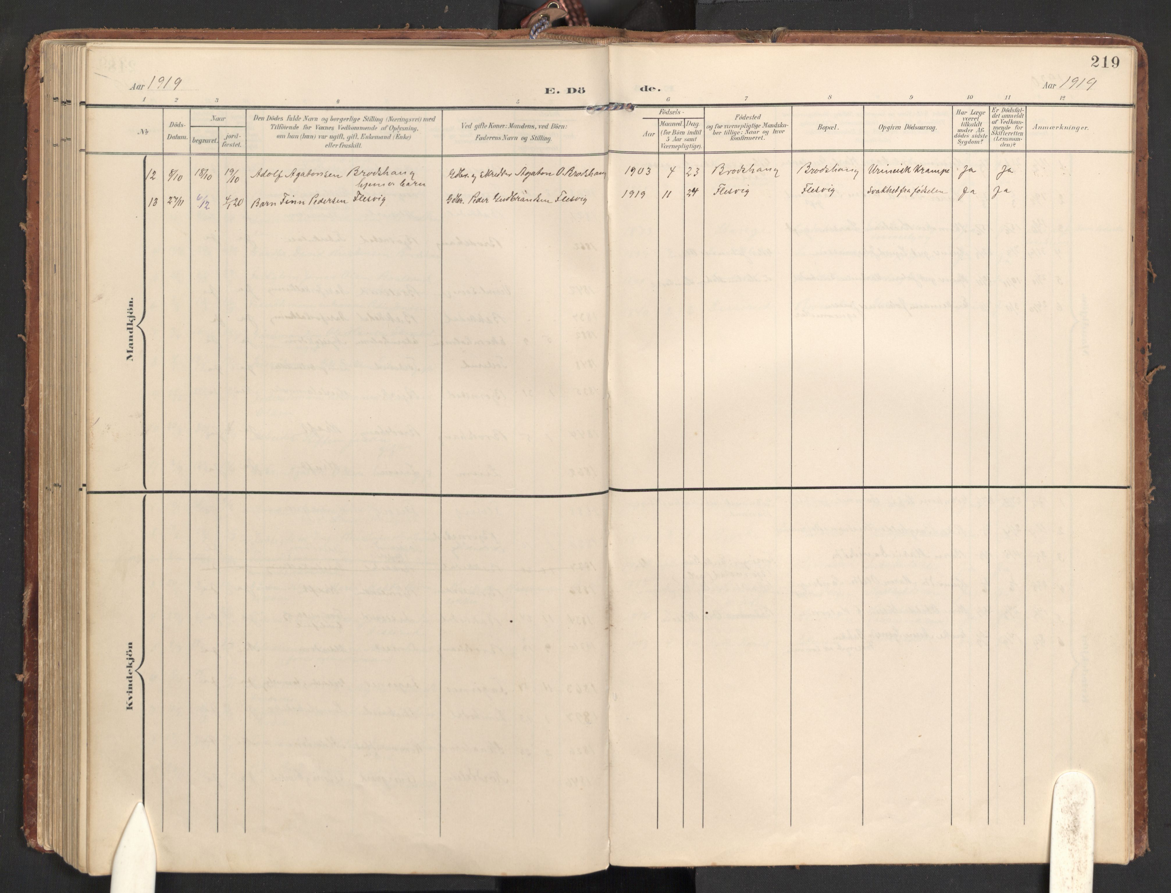 Hurdal prestekontor Kirkebøker, AV/SAO-A-10889/G/Gb/L0001: Parish register (copy) no. II 1, 1902-1939, p. 219