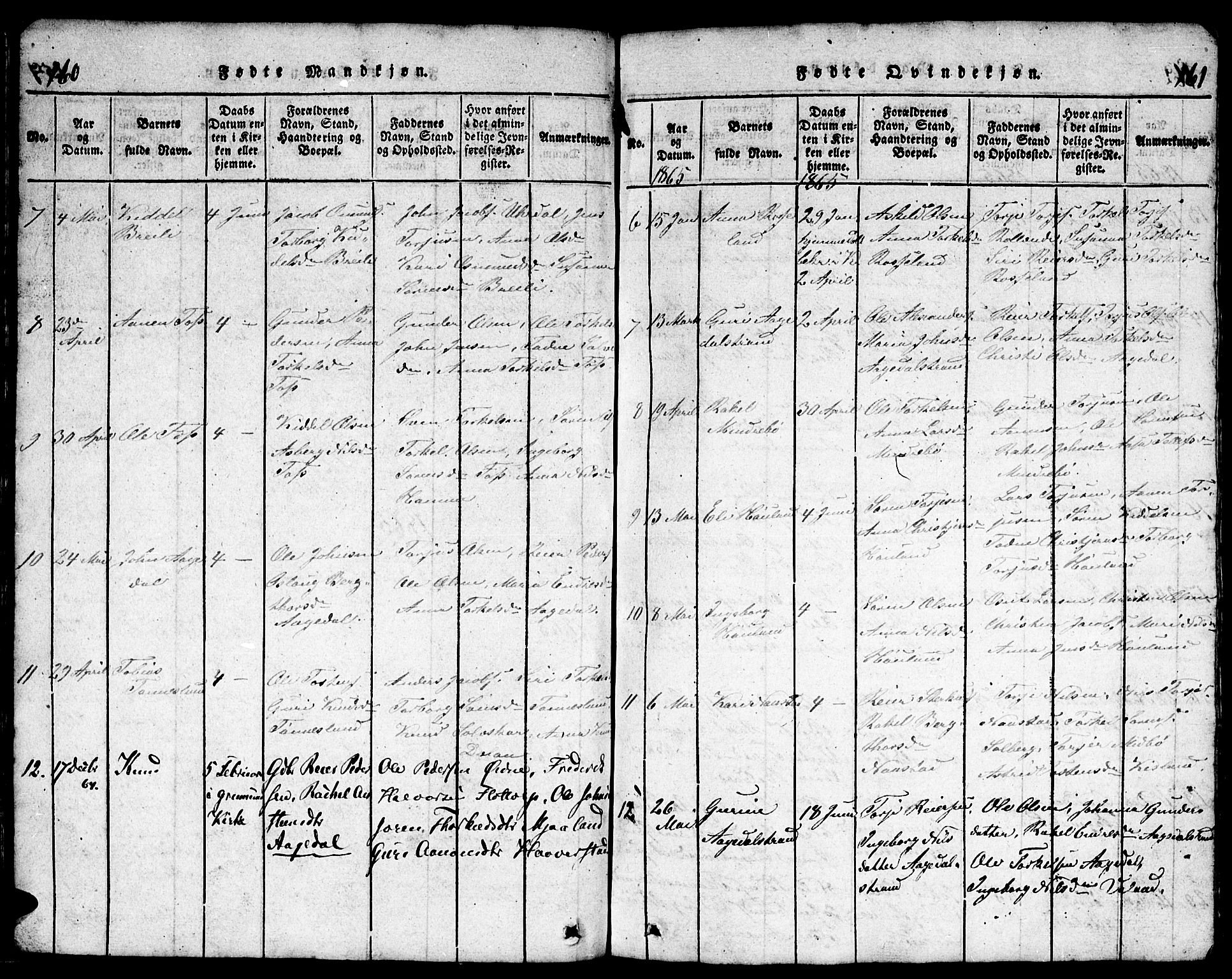Bjelland sokneprestkontor, AV/SAK-1111-0005/F/Fb/Fba/L0003: Parish register (copy) no. B 3, 1816-1870, p. 160-161