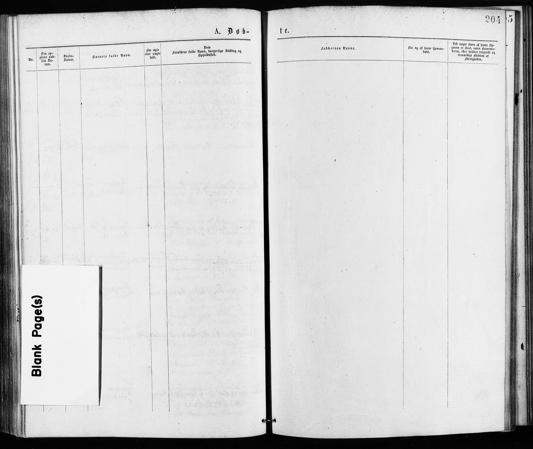 Jakob prestekontor Kirkebøker, SAO/A-10850/F/Fa/L0001: Parish register (official) no. 1, 1875-1924, p. 204