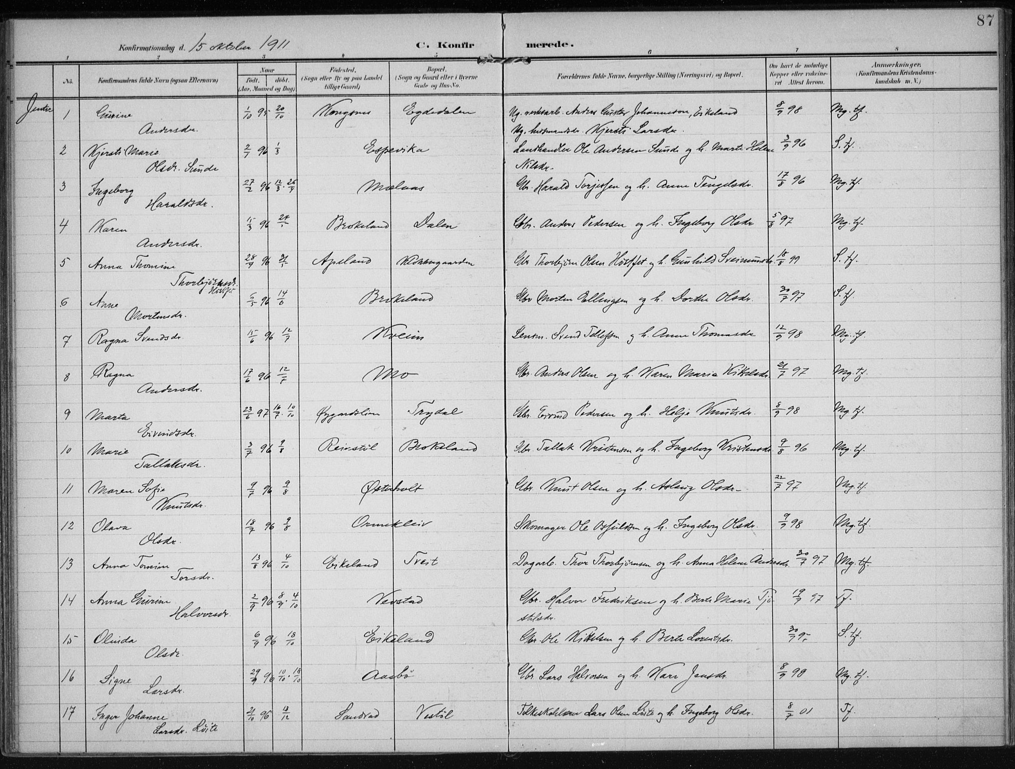 Gjerstad sokneprestkontor, AV/SAK-1111-0014/F/Fa/Faa/L0011: Parish register (official) no. A 11, 1903-1914, p. 87