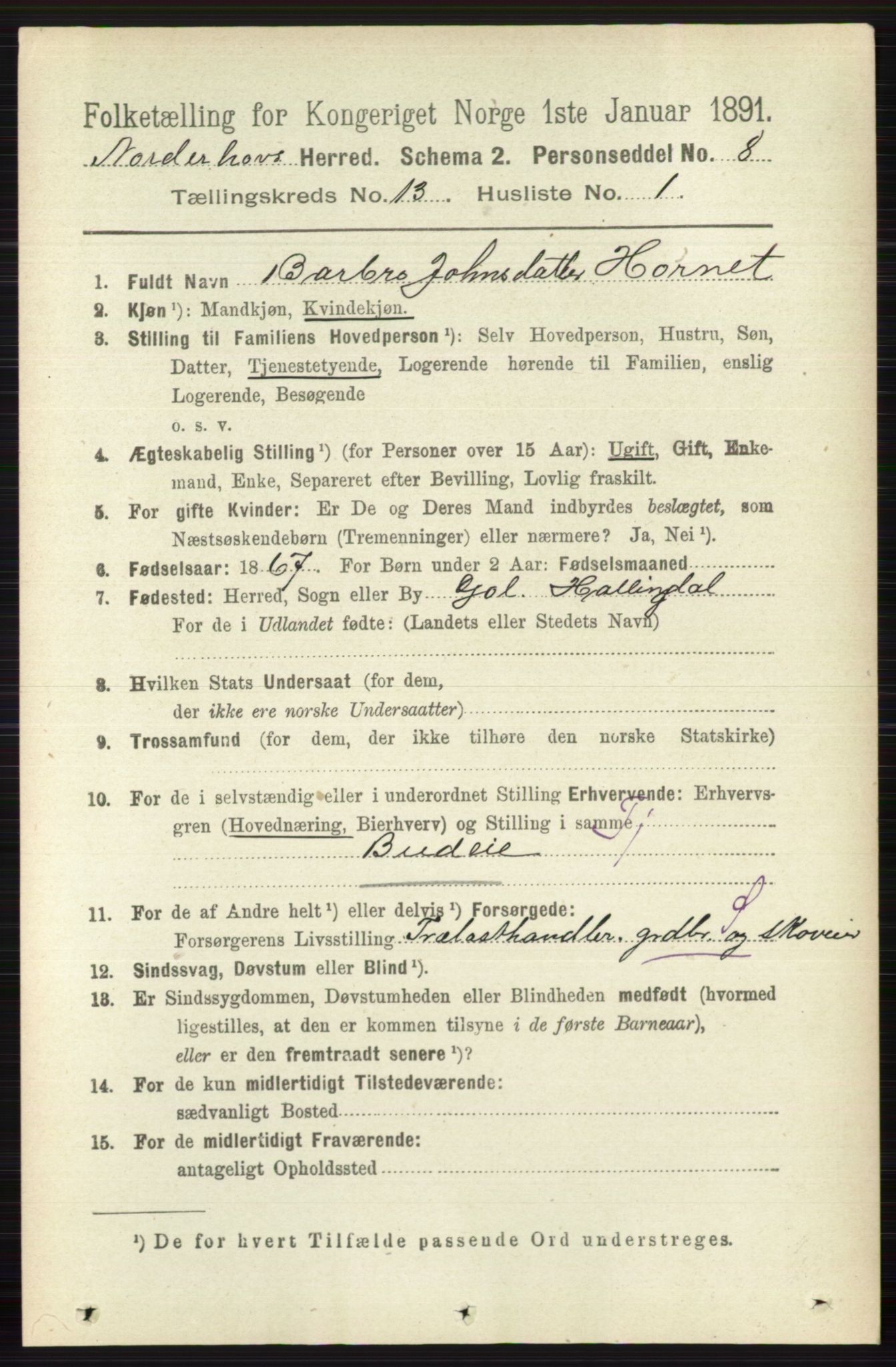 RA, 1891 census for 0613 Norderhov, 1891, p. 8887