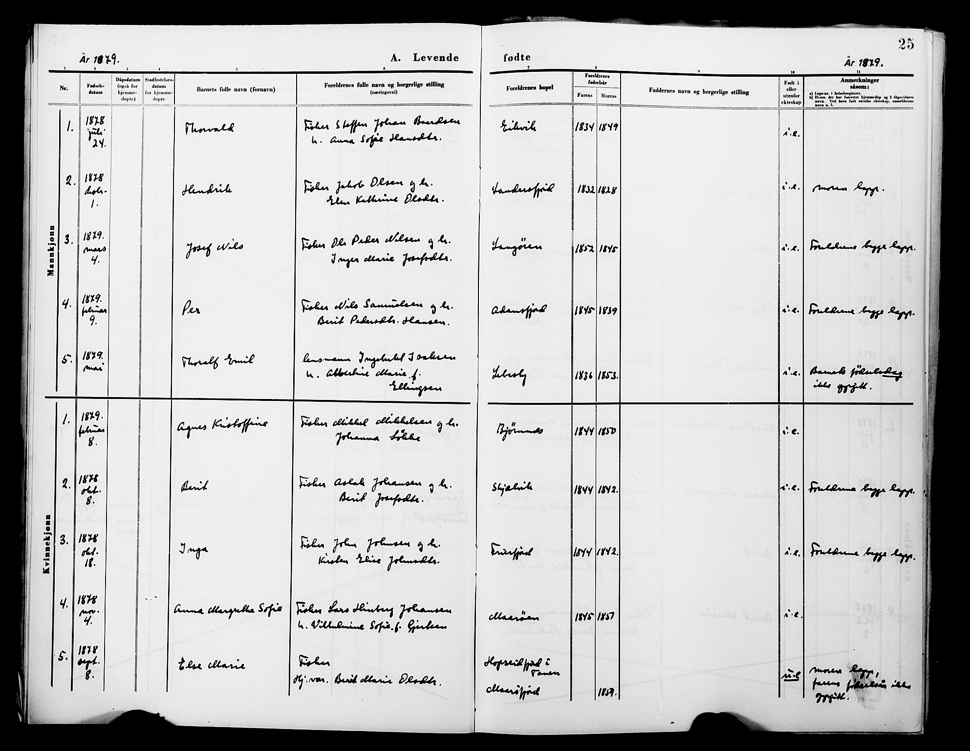 Lebesby sokneprestkontor, AV/SATØ-S-1353/H/Ha/L0004kirke: Parish register (official) no. 4, 1870-1902, p. 25