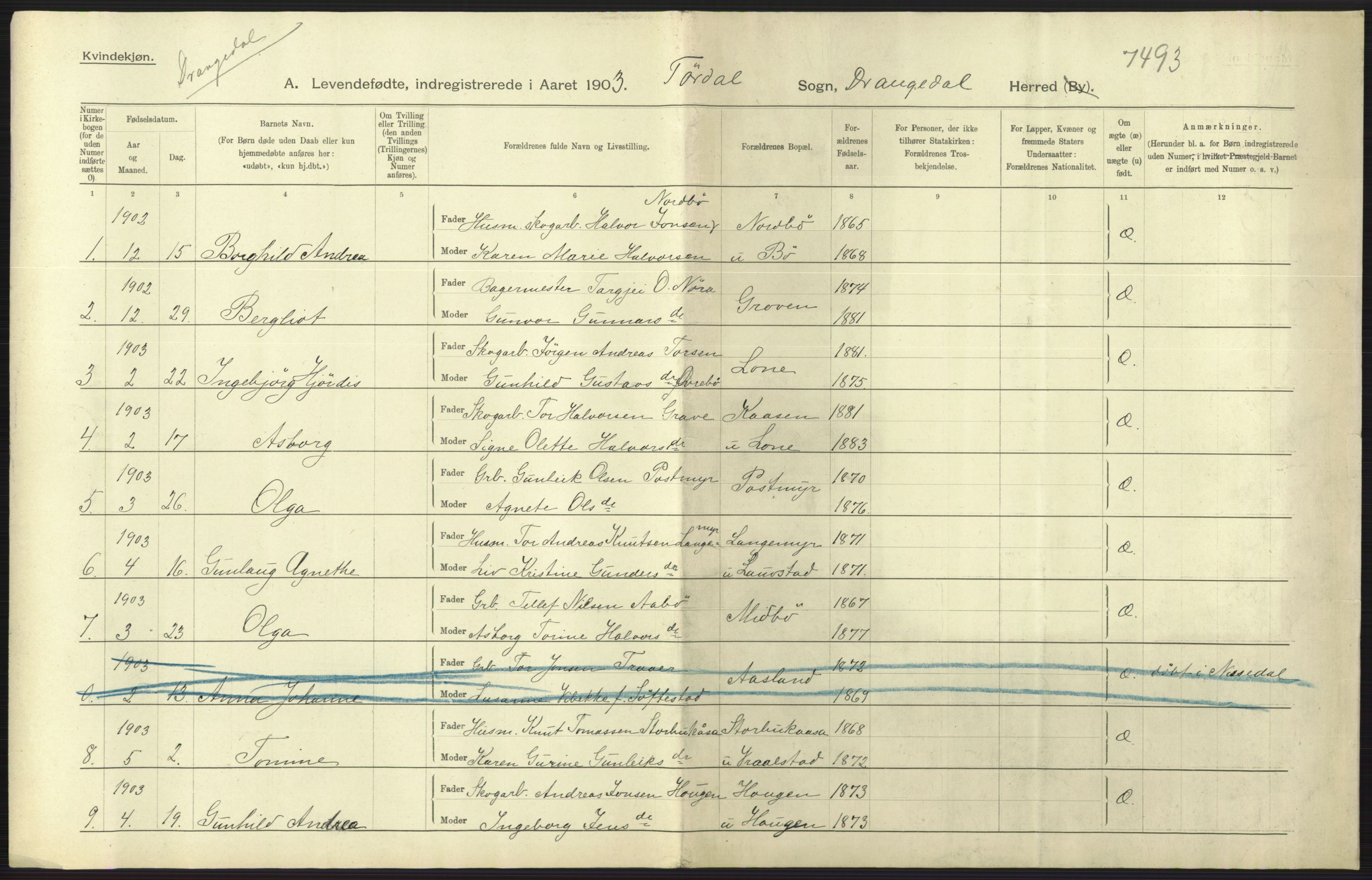 Statistisk sentralbyrå, Sosiodemografiske emner, Befolkning, AV/RA-S-2228/D/Df/Dfa/Dfaa/L0009: Bratsberg amt: Fødte, gifte, døde, 1903, p. 271