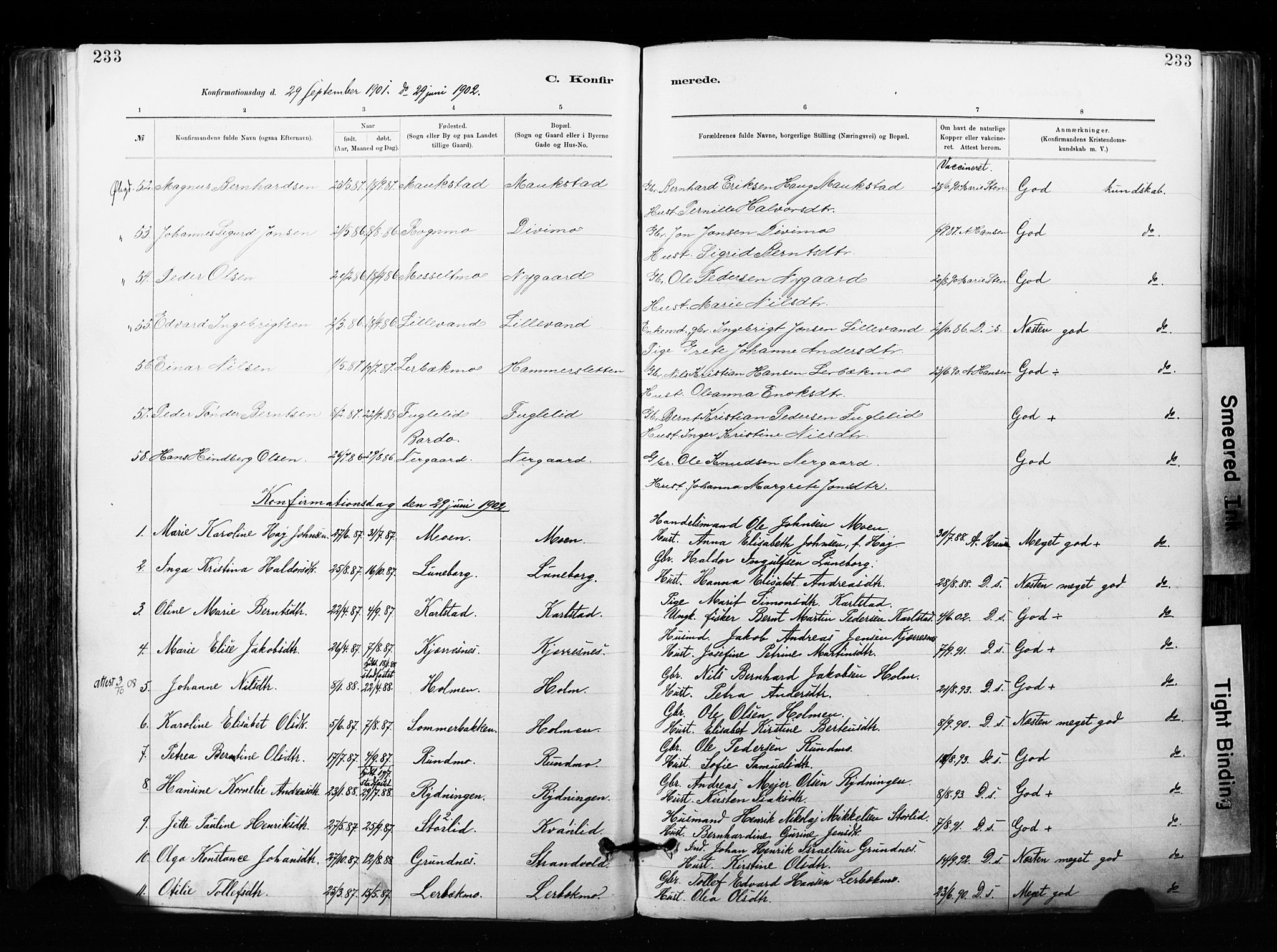 Målselv sokneprestembete, SATØ/S-1311/G/Ga/Gaa/L0007kirke: Parish register (official) no. 7, 1884-1903, p. 233