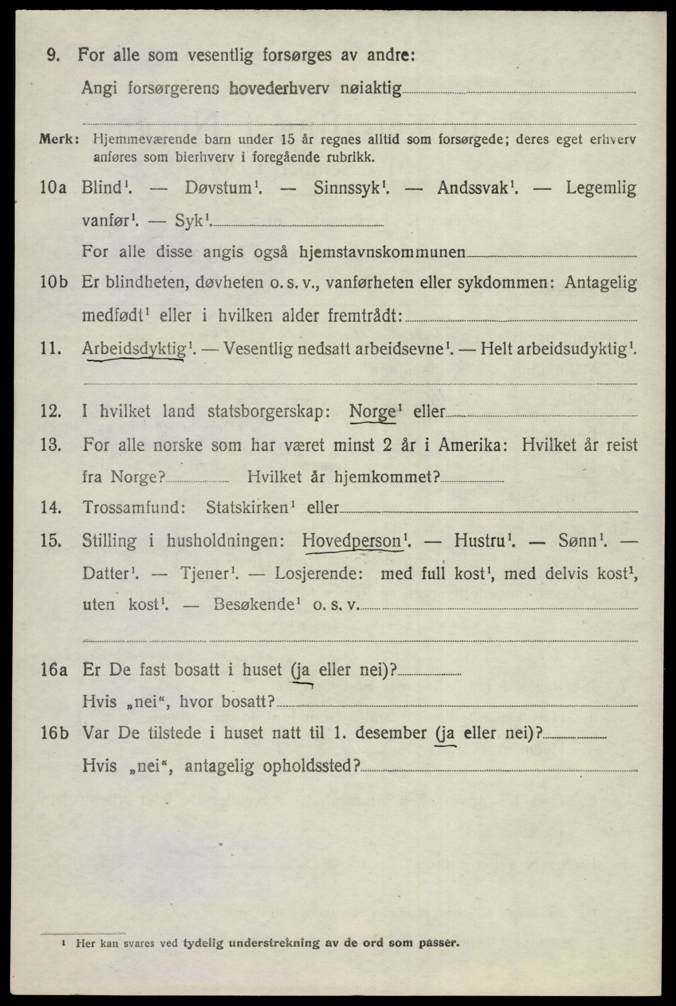 SAKO, 1920 census for Nes (Buskerud), 1920, p. 1481