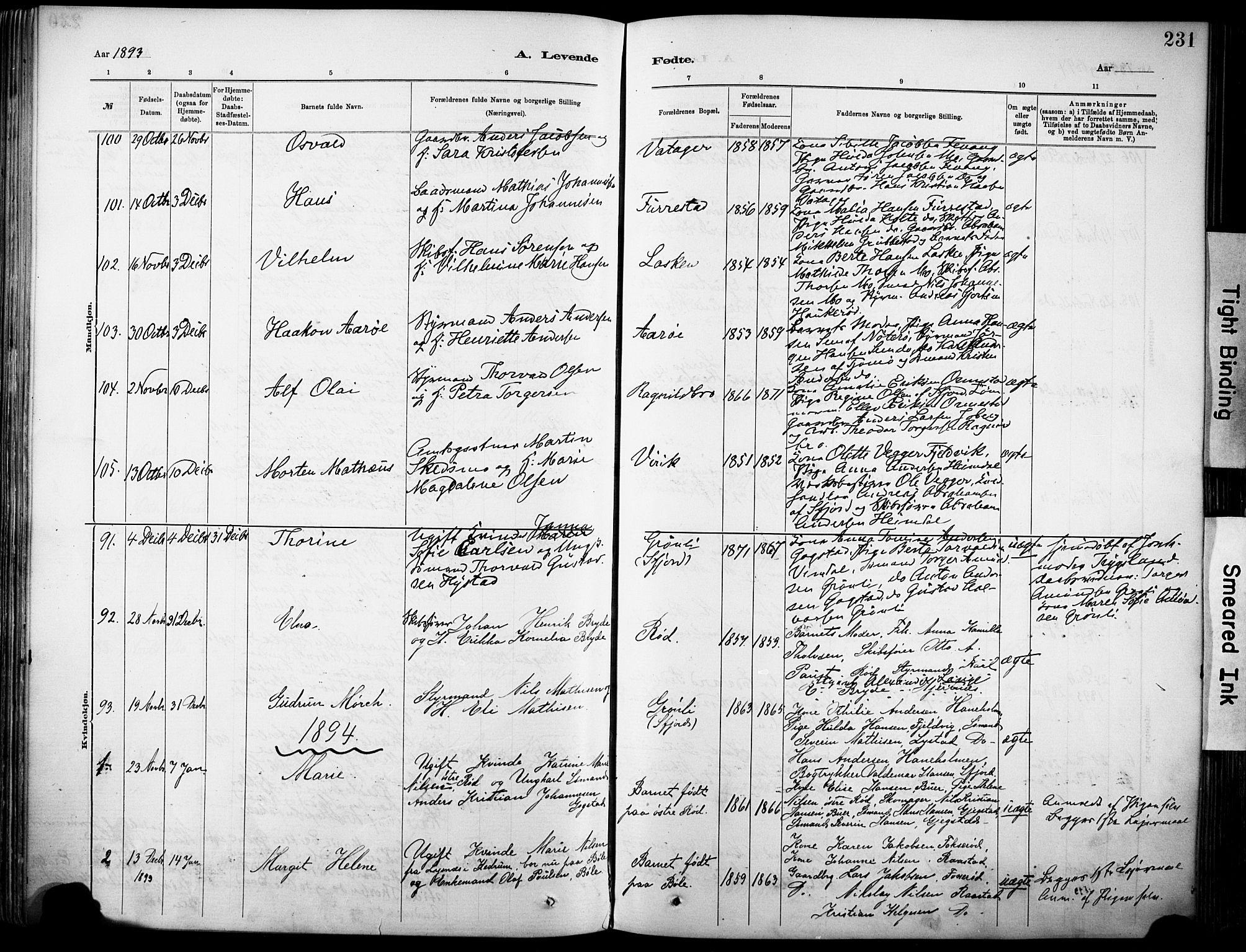 Sandar kirkebøker, SAKO/A-243/F/Fa/L0012: Parish register (official) no. 12, 1883-1895, p. 231