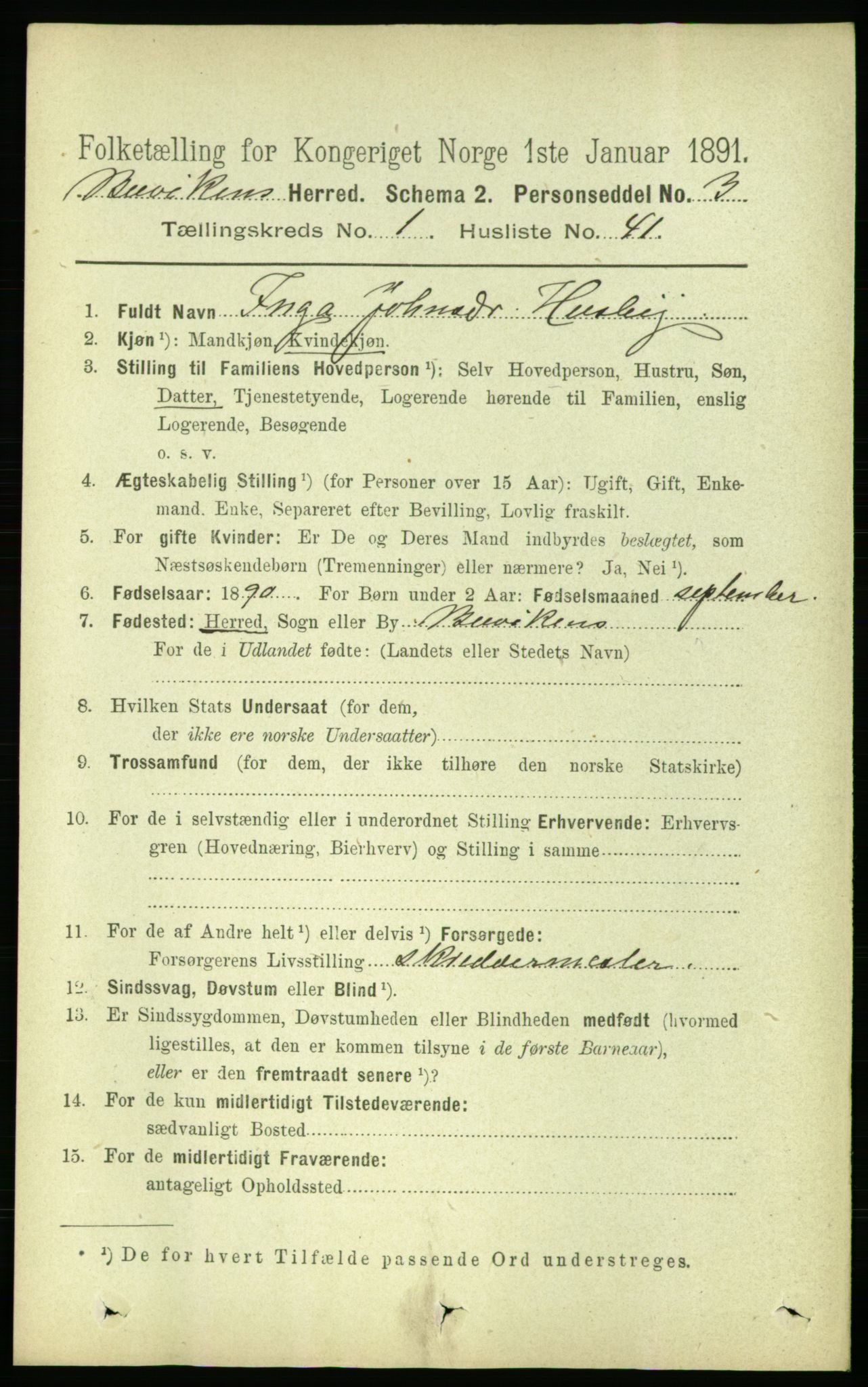 RA, 1891 census for 1656 Buvik, 1891, p. 285