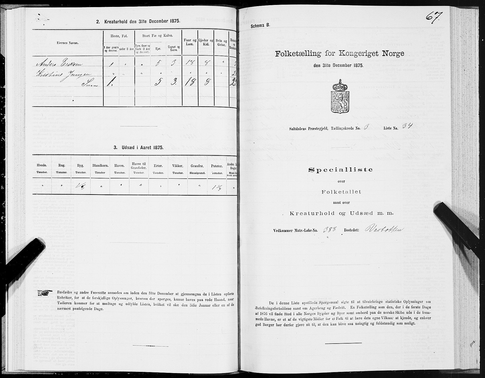 SAT, 1875 census for 1840P Saltdal, 1875, p. 2067