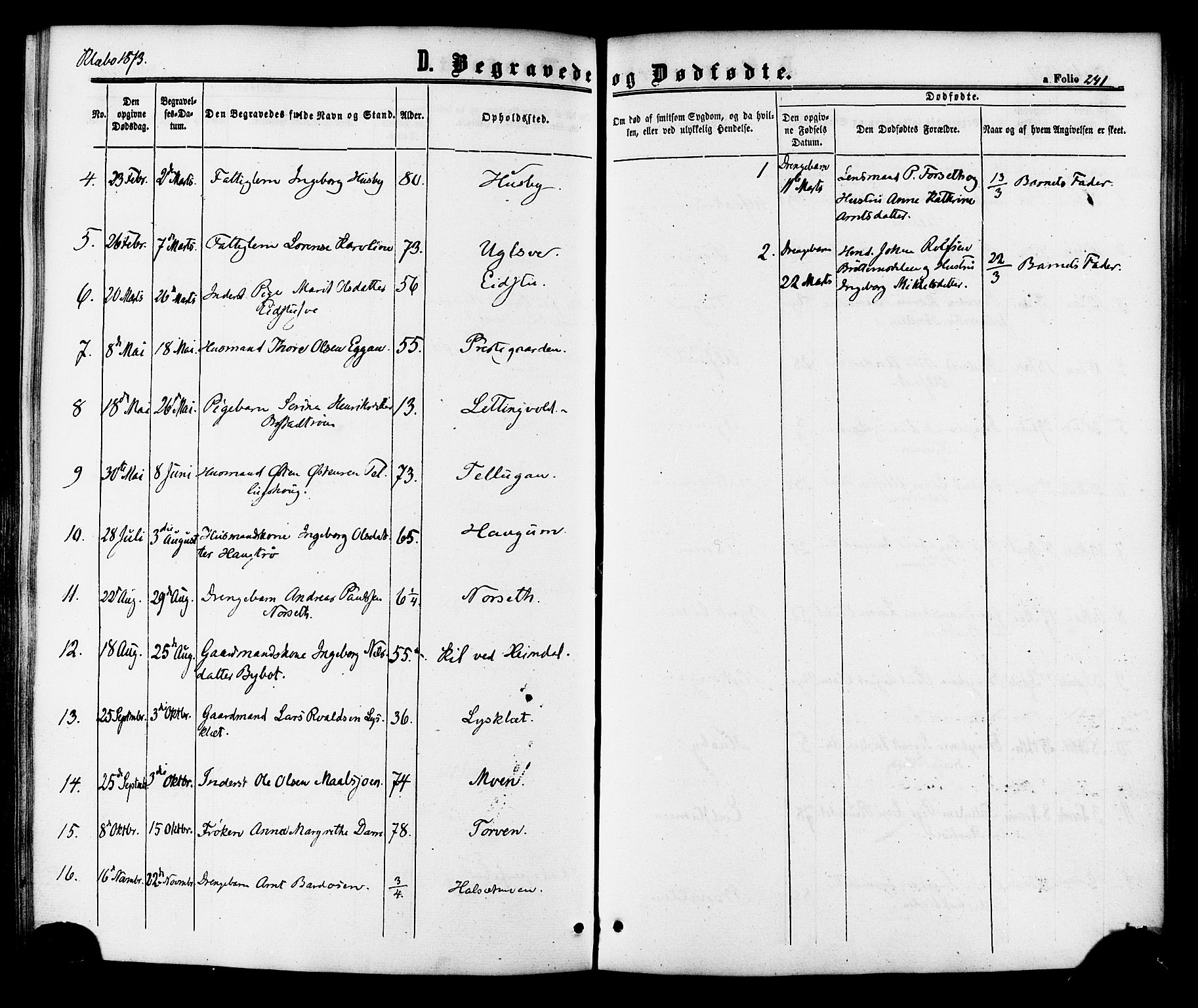 Ministerialprotokoller, klokkerbøker og fødselsregistre - Sør-Trøndelag, SAT/A-1456/618/L0442: Parish register (official) no. 618A06 /1, 1863-1879, p. 241