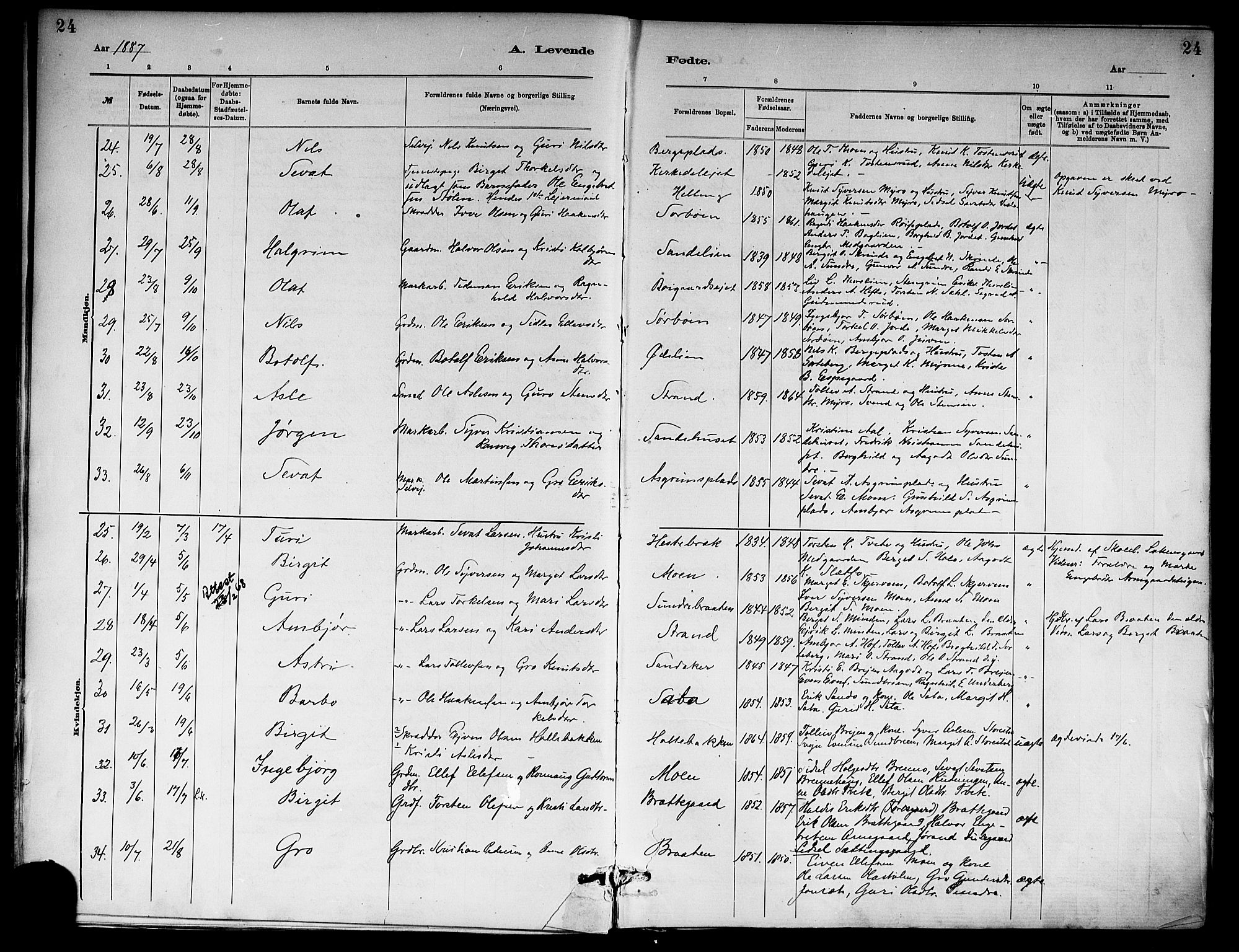 Ål kirkebøker, AV/SAKO-A-249/F/Fa/L0008: Parish register (official) no. I 8, 1882-1896, p. 24