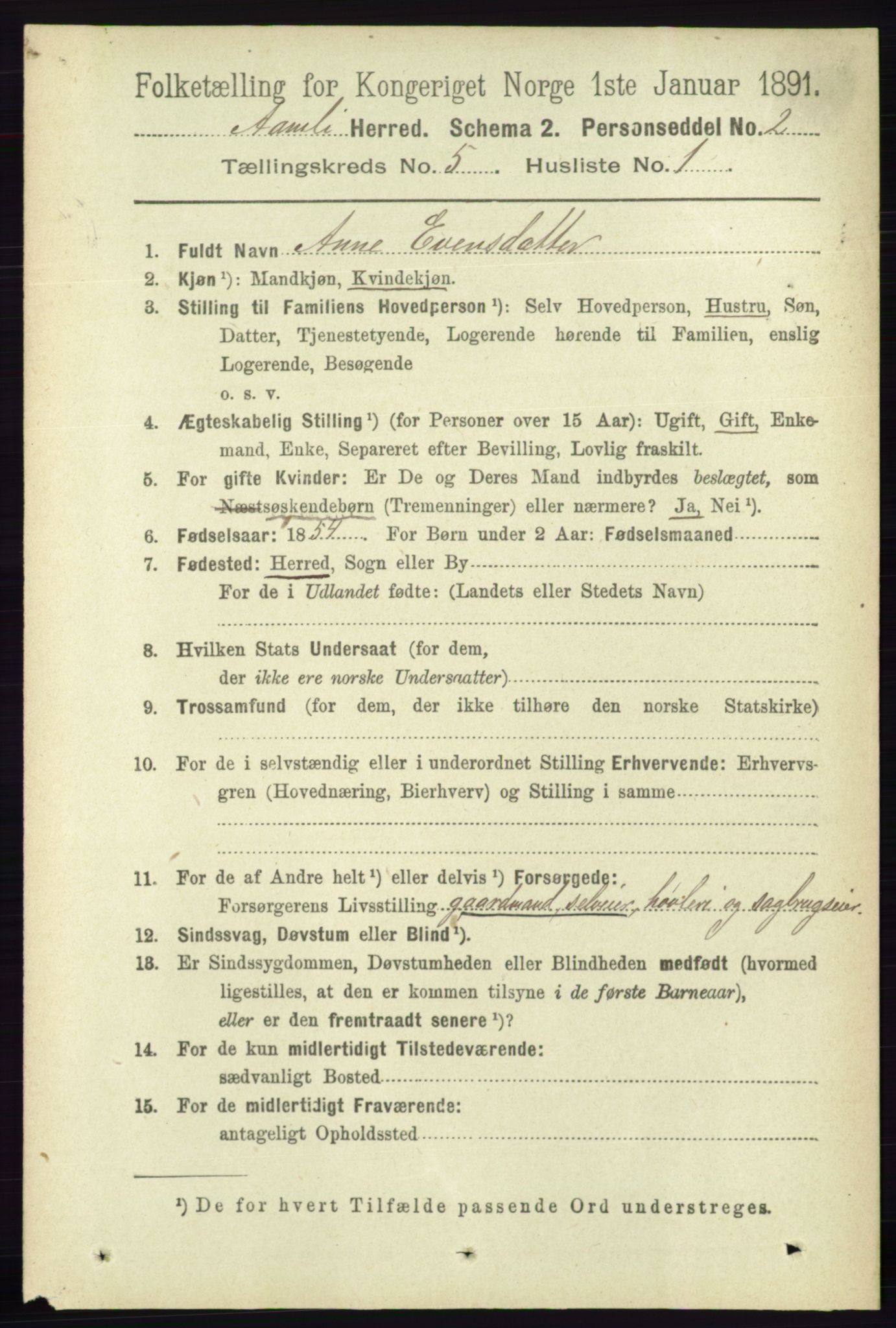 RA, 1891 census for 0929 Åmli, 1891, p. 675