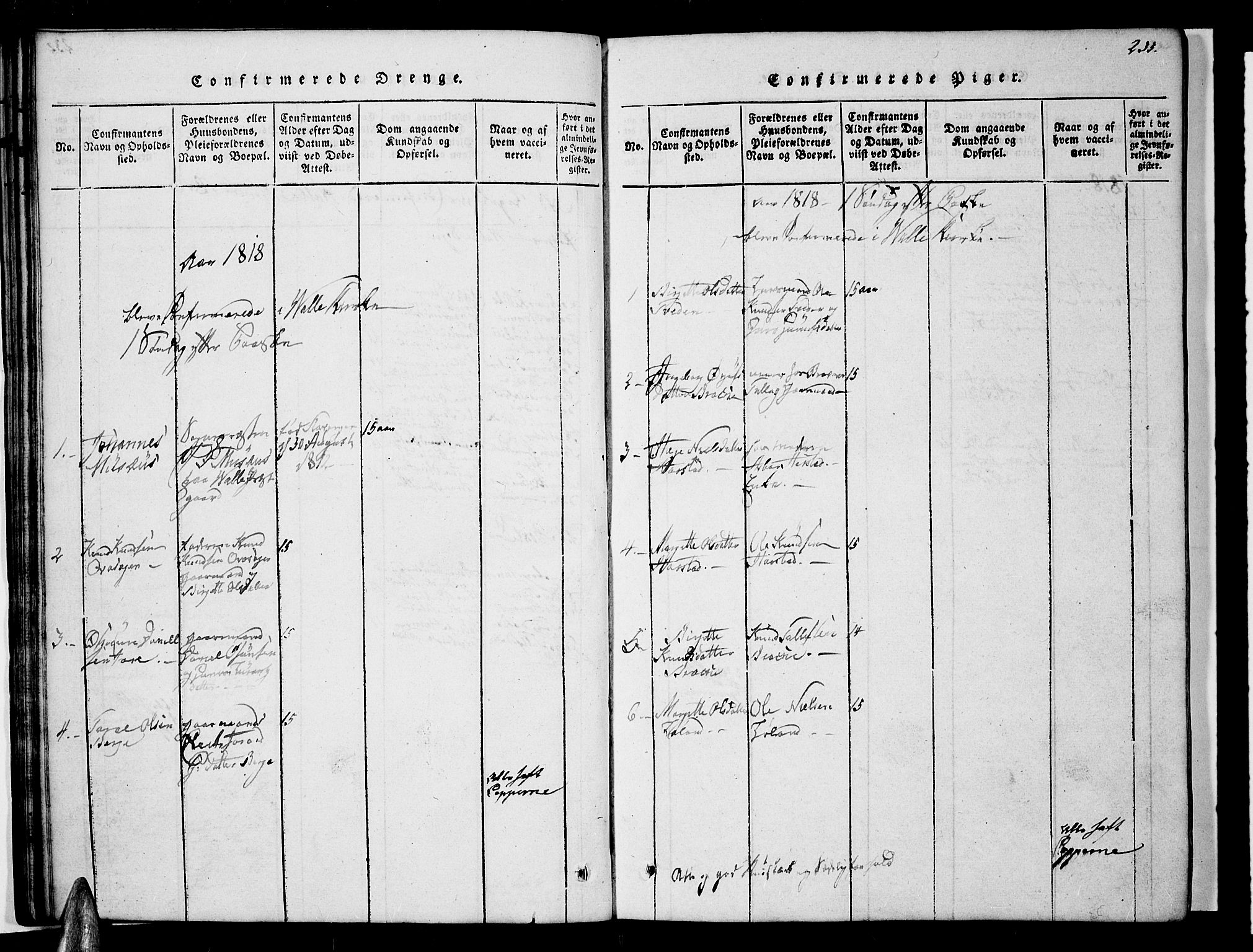 Valle sokneprestkontor, AV/SAK-1111-0044/F/Fb/Fbc/L0001: Parish register (copy) no. B 1 /1, 1816-1829, p. 233