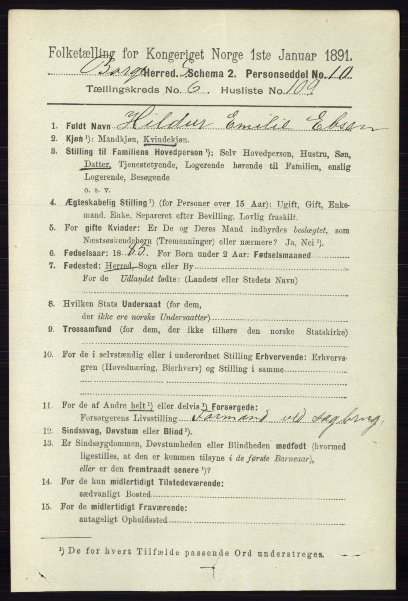 RA, 1891 census for 0113 Borge, 1891, p. 3882