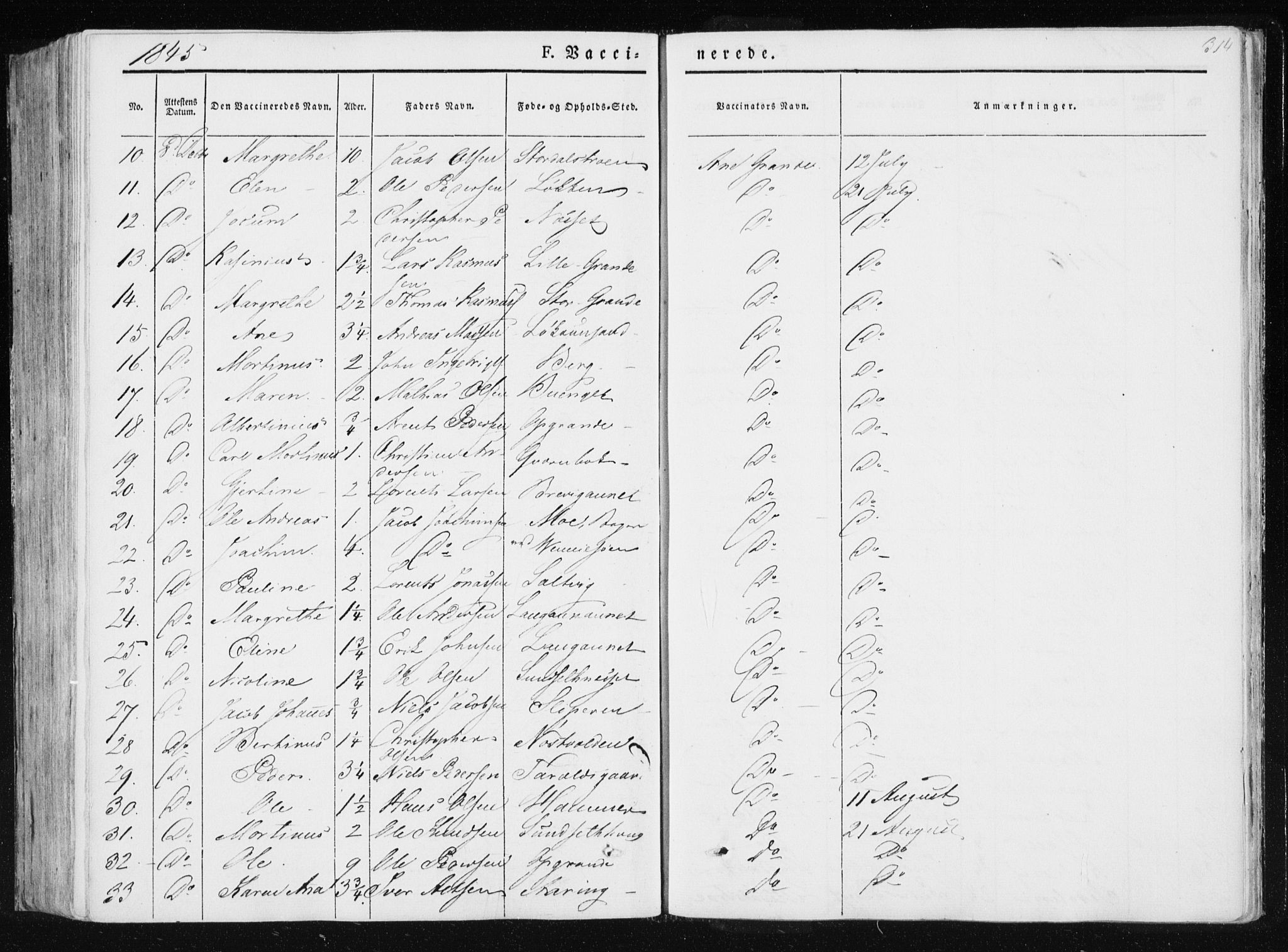 Ministerialprotokoller, klokkerbøker og fødselsregistre - Nord-Trøndelag, AV/SAT-A-1458/733/L0323: Parish register (official) no. 733A02, 1843-1870, p. 314