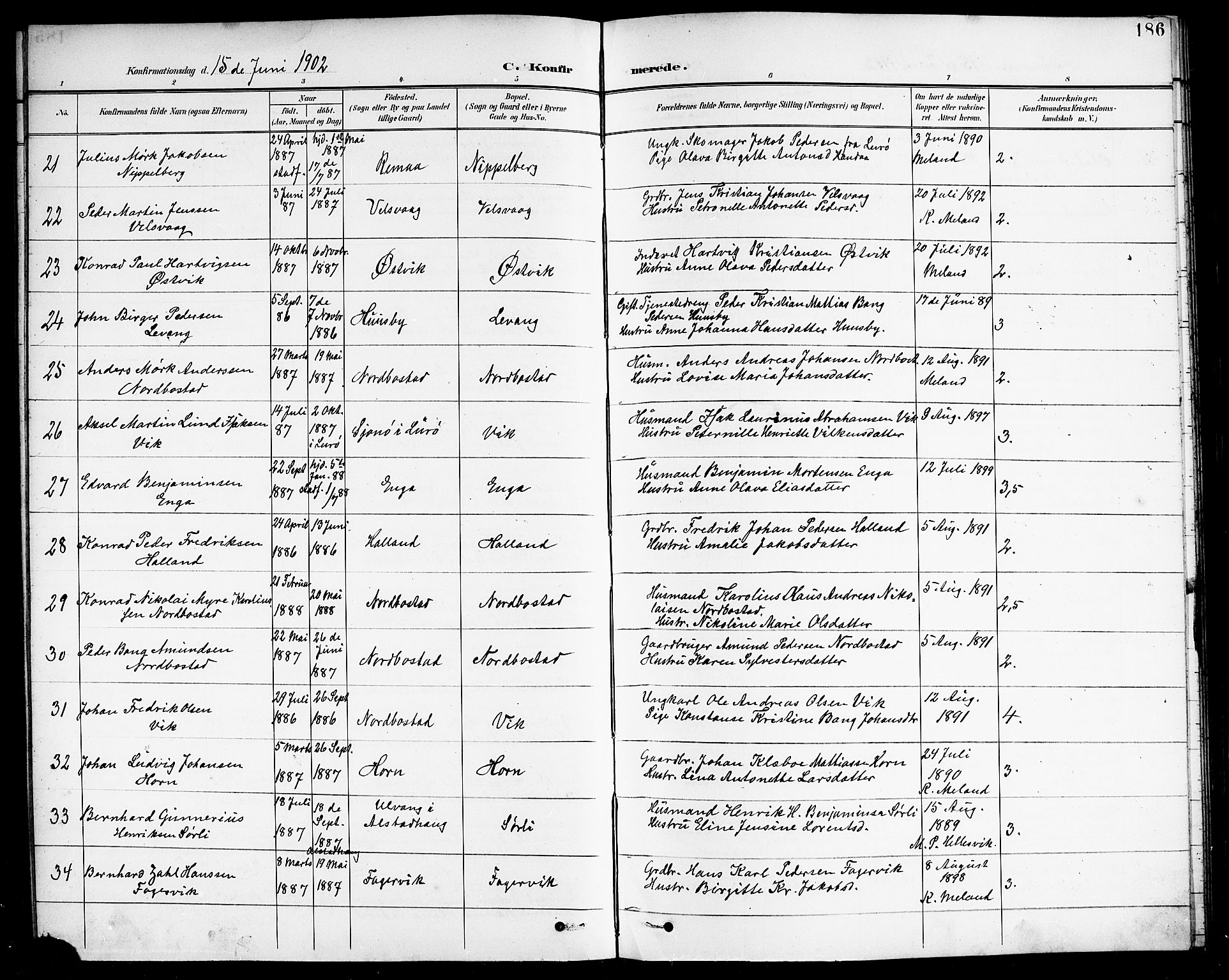 Ministerialprotokoller, klokkerbøker og fødselsregistre - Nordland, AV/SAT-A-1459/838/L0559: Parish register (copy) no. 838C06, 1893-1910, p. 186