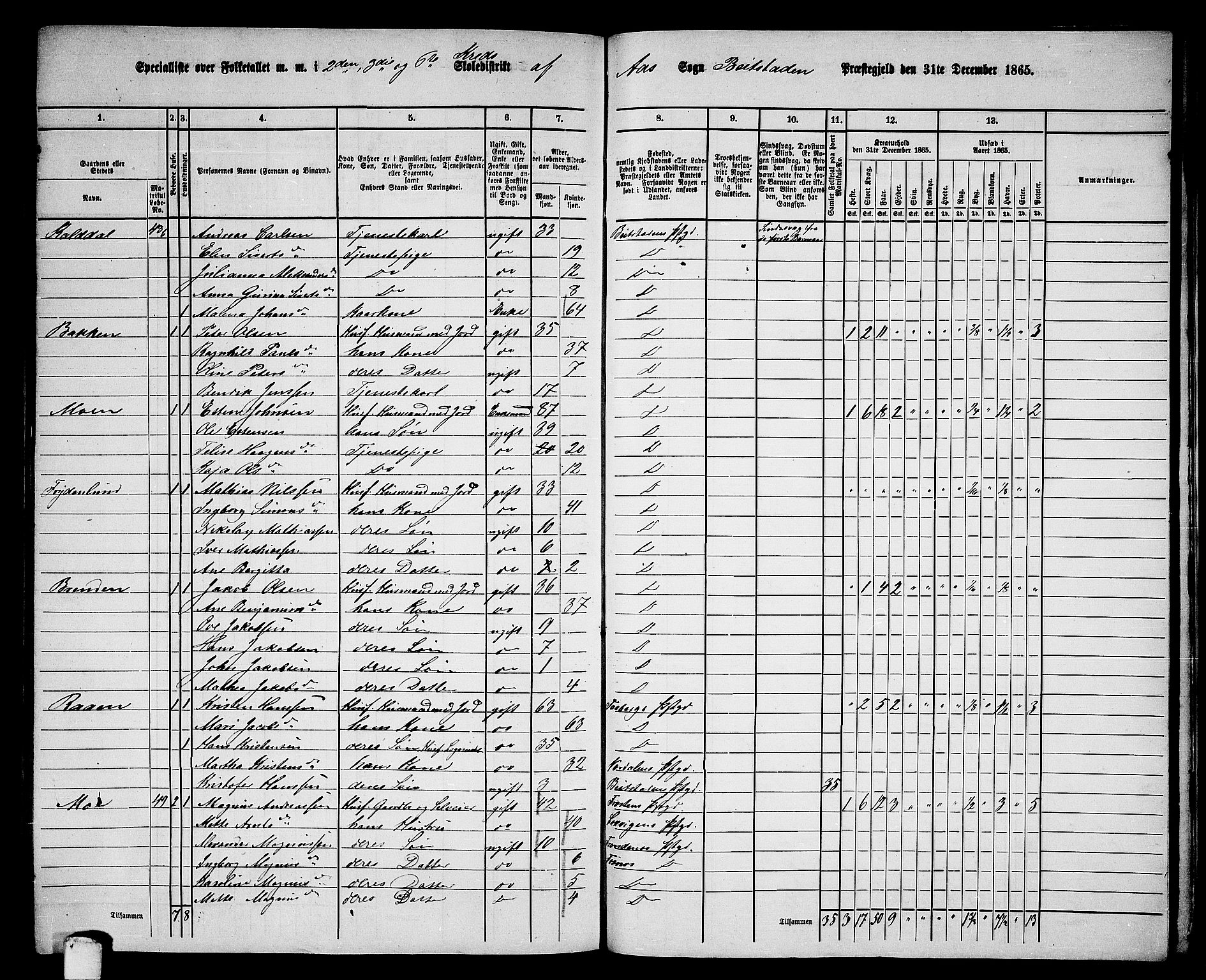 RA, 1865 census for Beitstad, 1865, p. 193