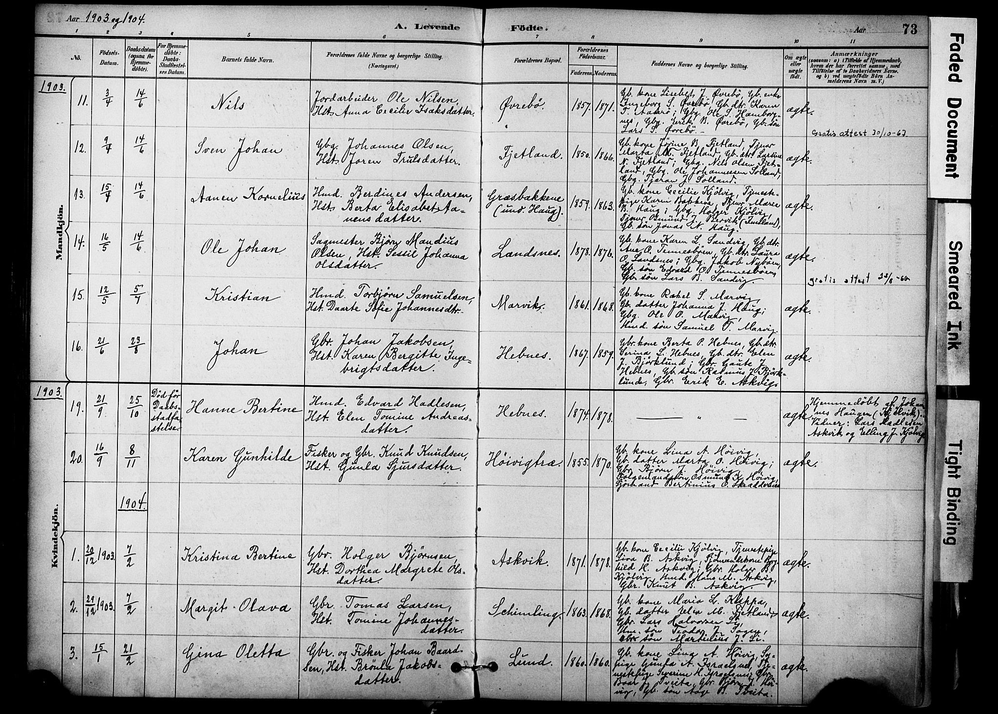 Jelsa sokneprestkontor, SAST/A-101842/01/IV: Parish register (official) no. A 10, 1884-1906, p. 73