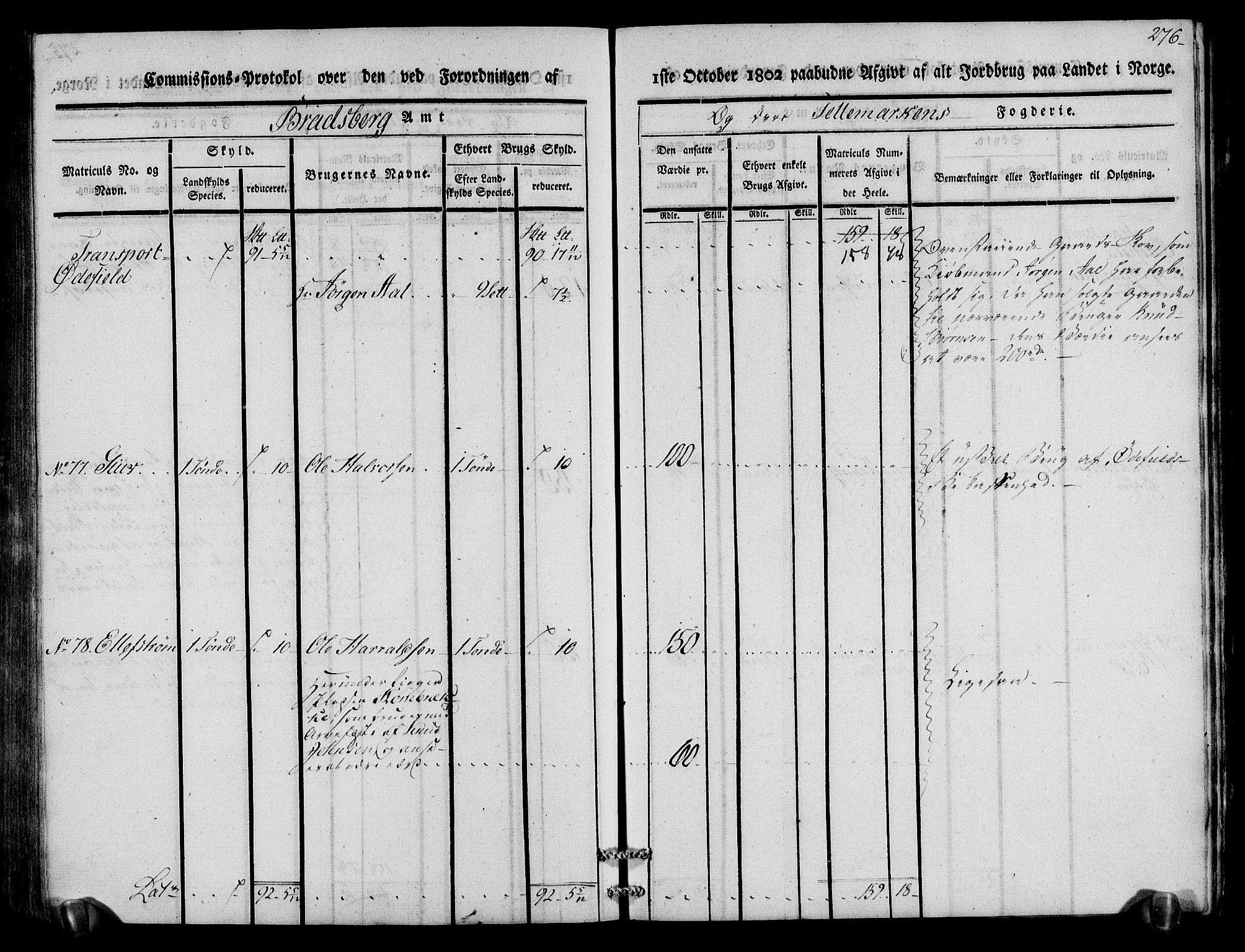 Rentekammeret inntil 1814, Realistisk ordnet avdeling, AV/RA-EA-4070/N/Ne/Nea/L0075: Øvre Telemarken fogderi. Kommisjonsprotokoll for fogderiets vestre del - Kviteseid, Vinje, Moland [):Fyresdal] og Lårdal prestegjeld., 1803, p. 278