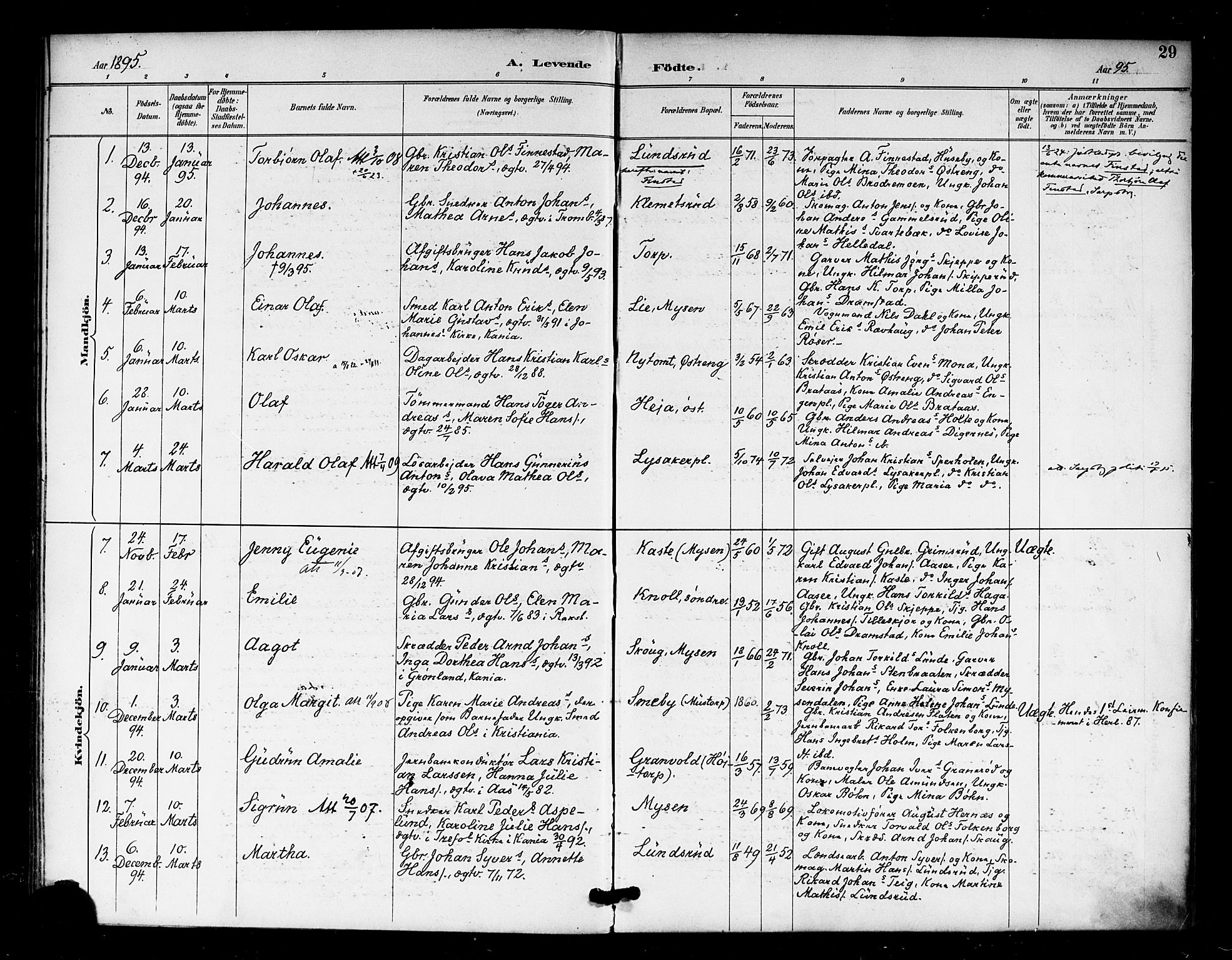 Eidsberg prestekontor Kirkebøker, AV/SAO-A-10905/F/Fa/L0013: Parish register (official) no. I 13, 1890-1901, p. 29