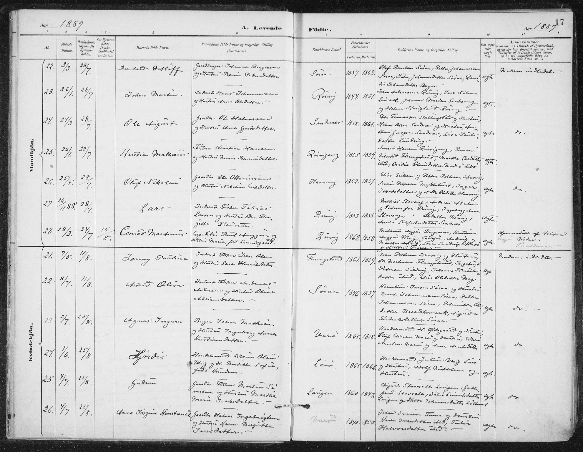Ministerialprotokoller, klokkerbøker og fødselsregistre - Nord-Trøndelag, SAT/A-1458/784/L0673: Parish register (official) no. 784A08, 1888-1899, p. 17