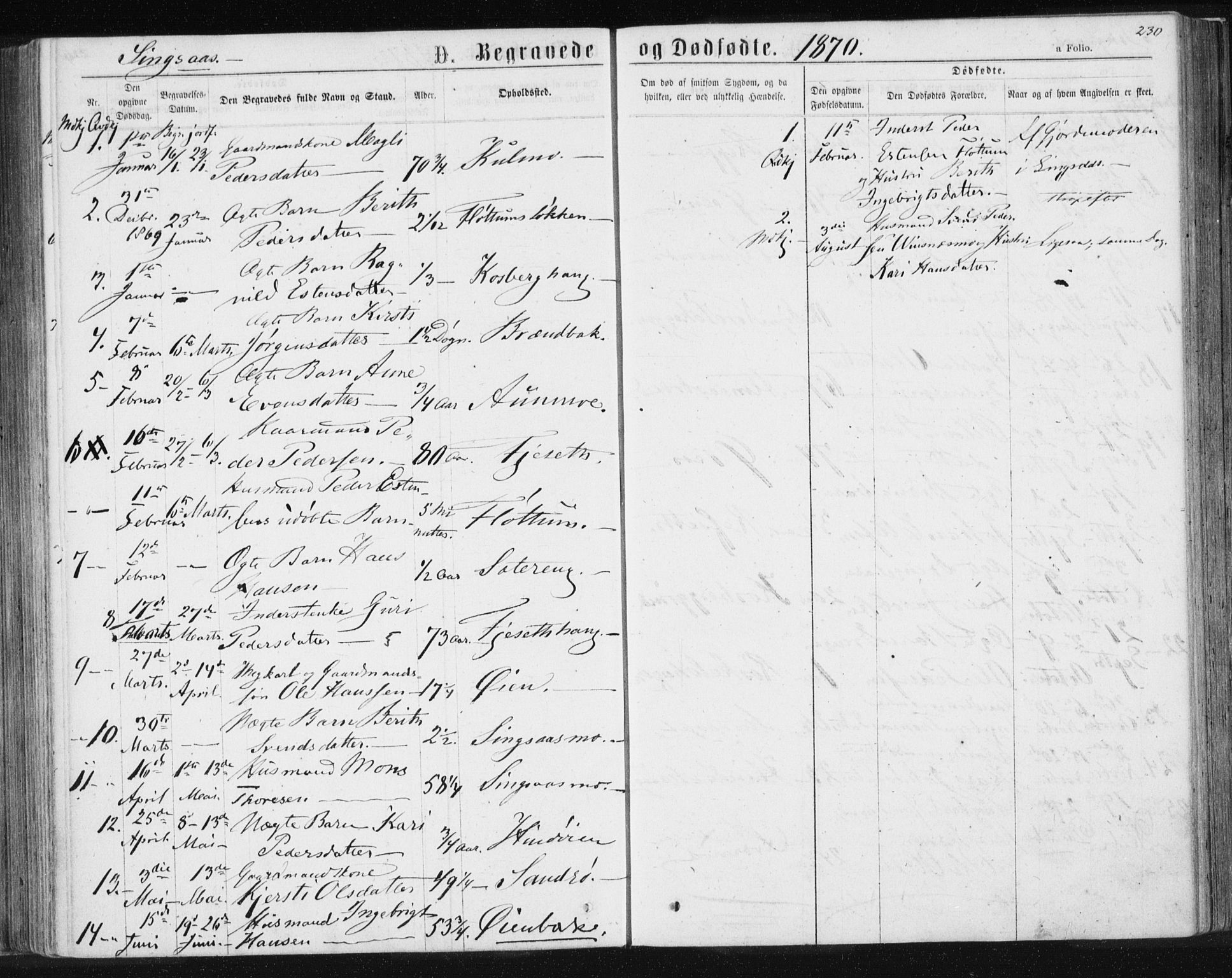 Ministerialprotokoller, klokkerbøker og fødselsregistre - Sør-Trøndelag, AV/SAT-A-1456/685/L0970: Parish register (official) no. 685A08 /2, 1870-1878, p. 230