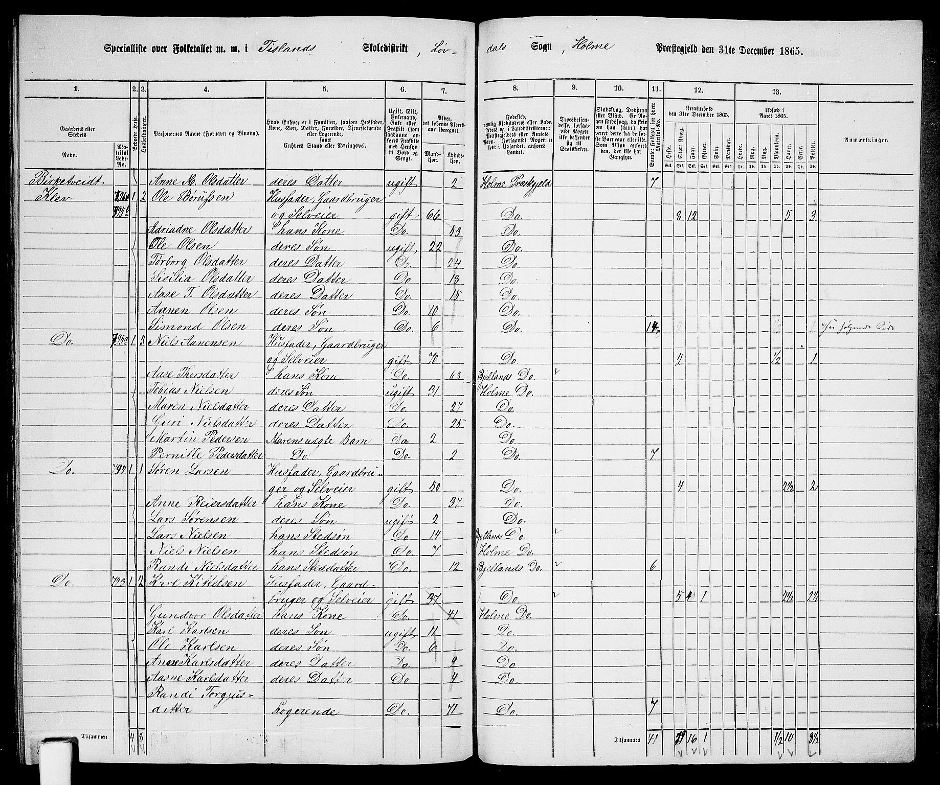 RA, 1865 census for Holum, 1865, p. 168