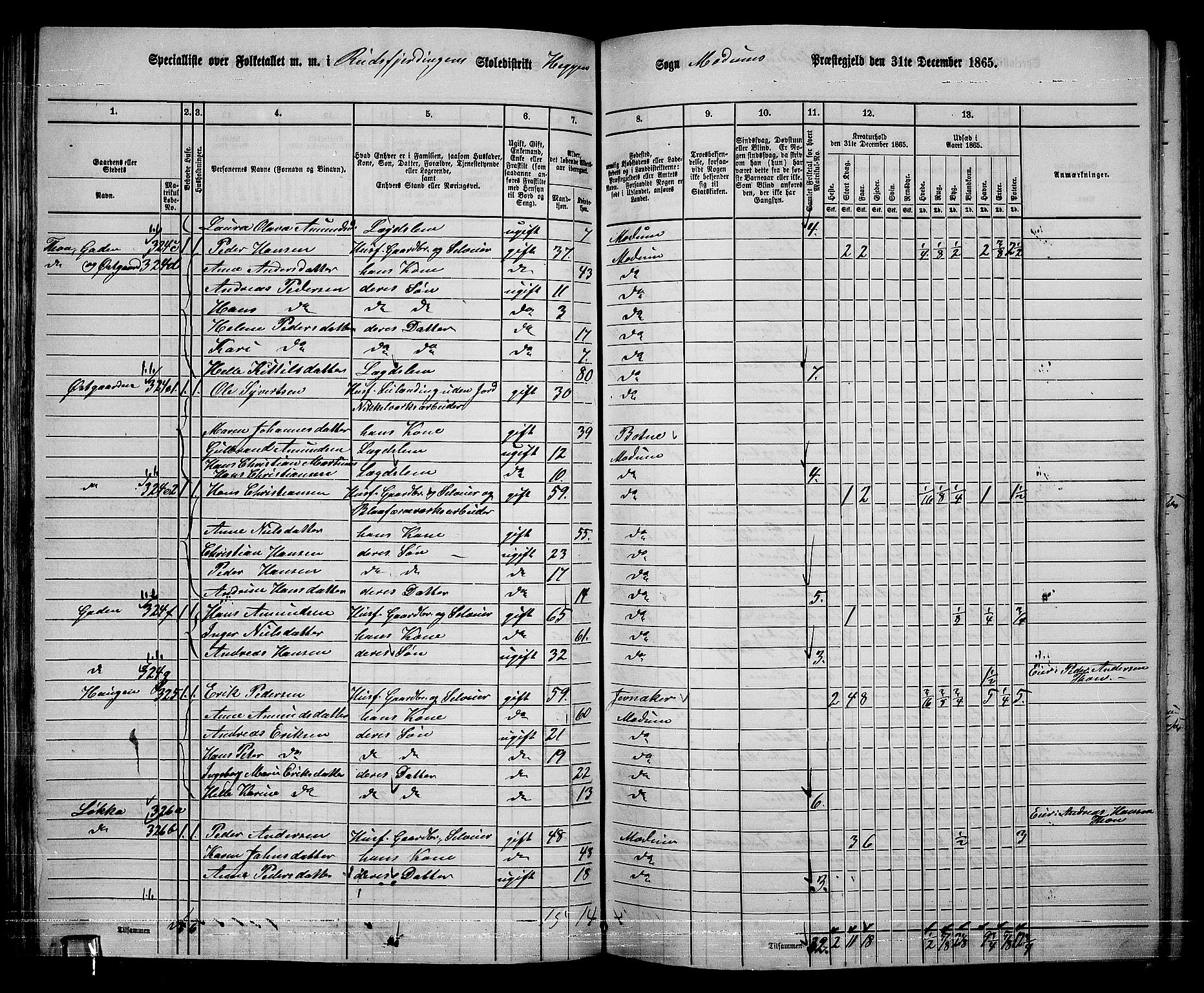 RA, 1865 census for Modum, 1865, p. 118