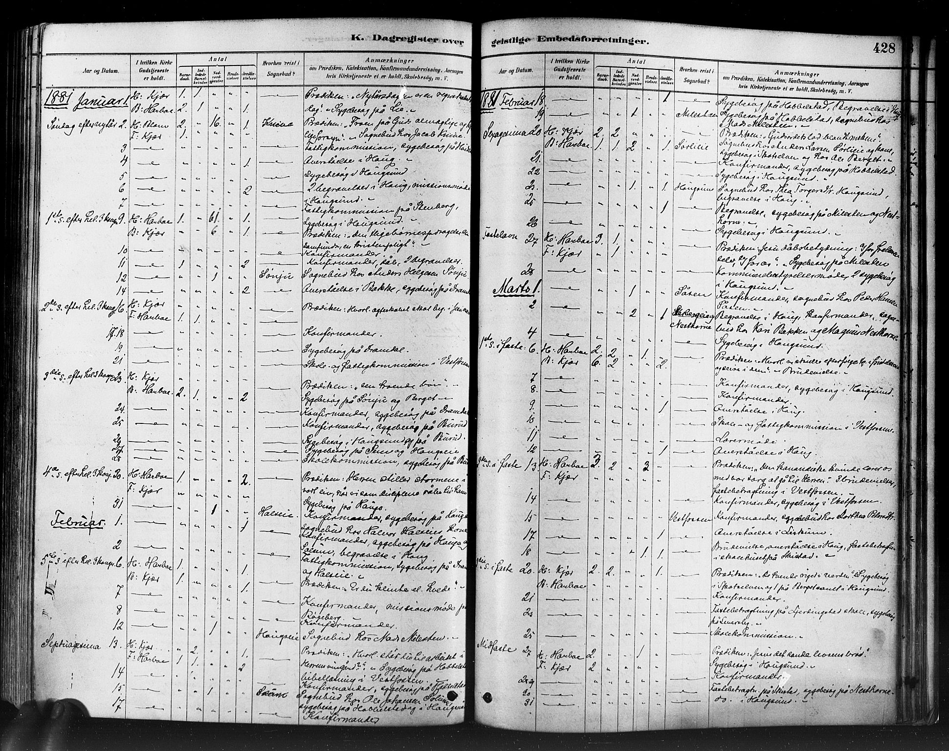 Eiker kirkebøker, SAKO/A-4/F/Fb/L0001: Parish register (official) no. II 1, 1878-1888, p. 428