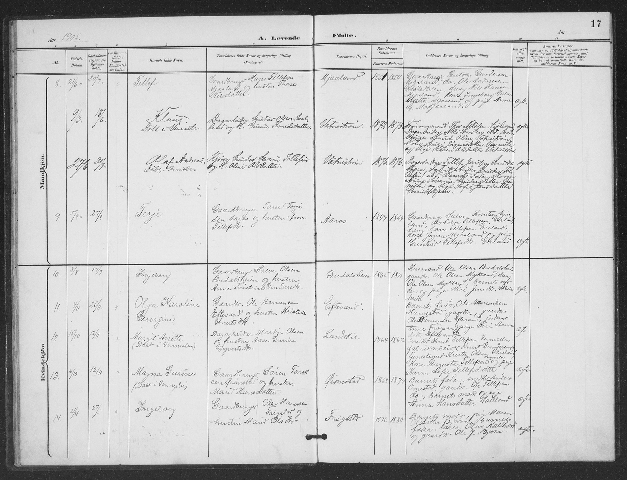 Evje sokneprestkontor, SAK/1111-0008/F/Fb/Fbc/L0005: Parish register (copy) no. B 5, 1901-1935, p. 17