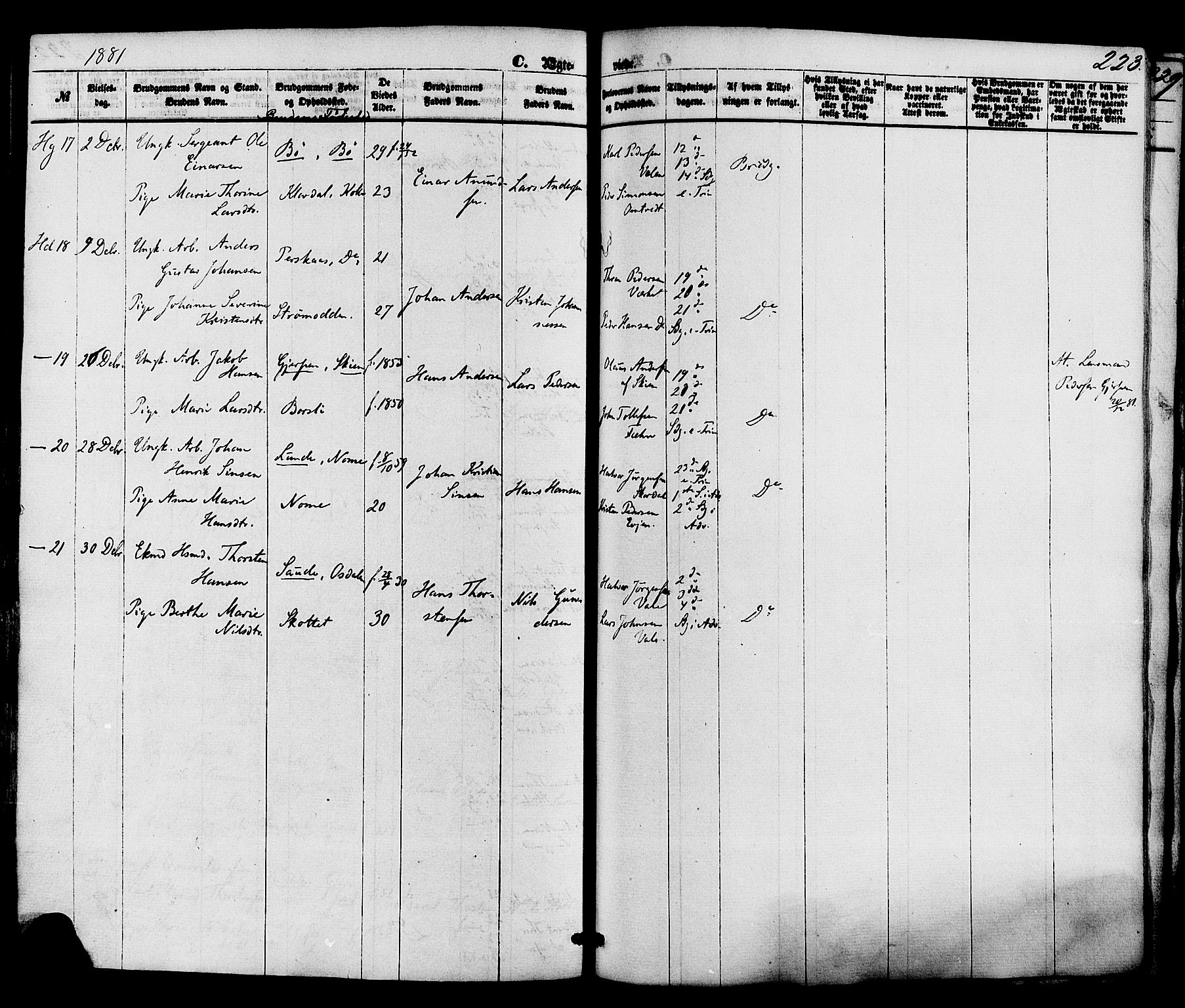 Holla kirkebøker, AV/SAKO-A-272/F/Fa/L0007: Parish register (official) no. 7, 1869-1881, p. 223