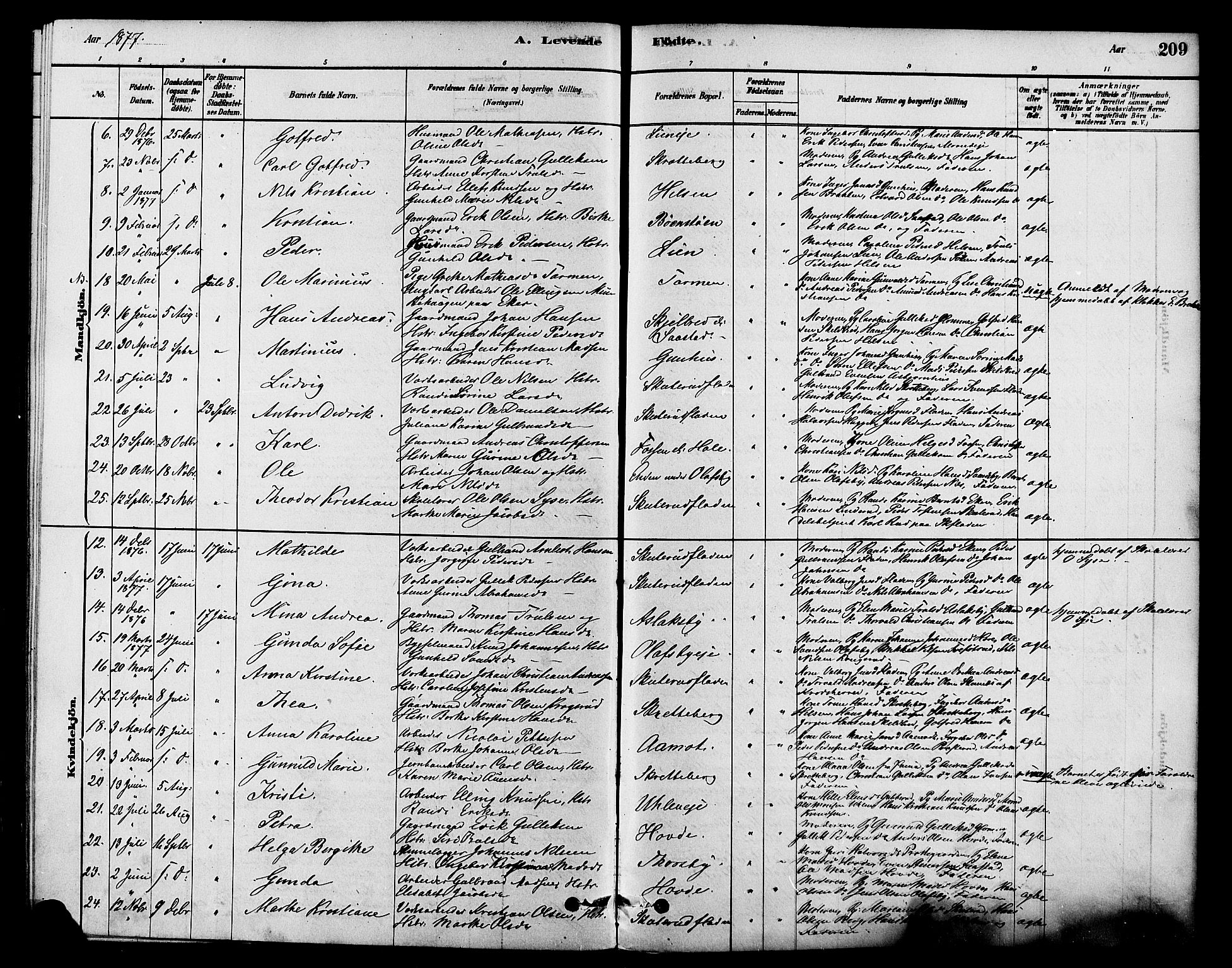 Modum kirkebøker, AV/SAKO-A-234/F/Fa/L0015: Parish register (official) no. 15 /2, 1877-1889, p. 209